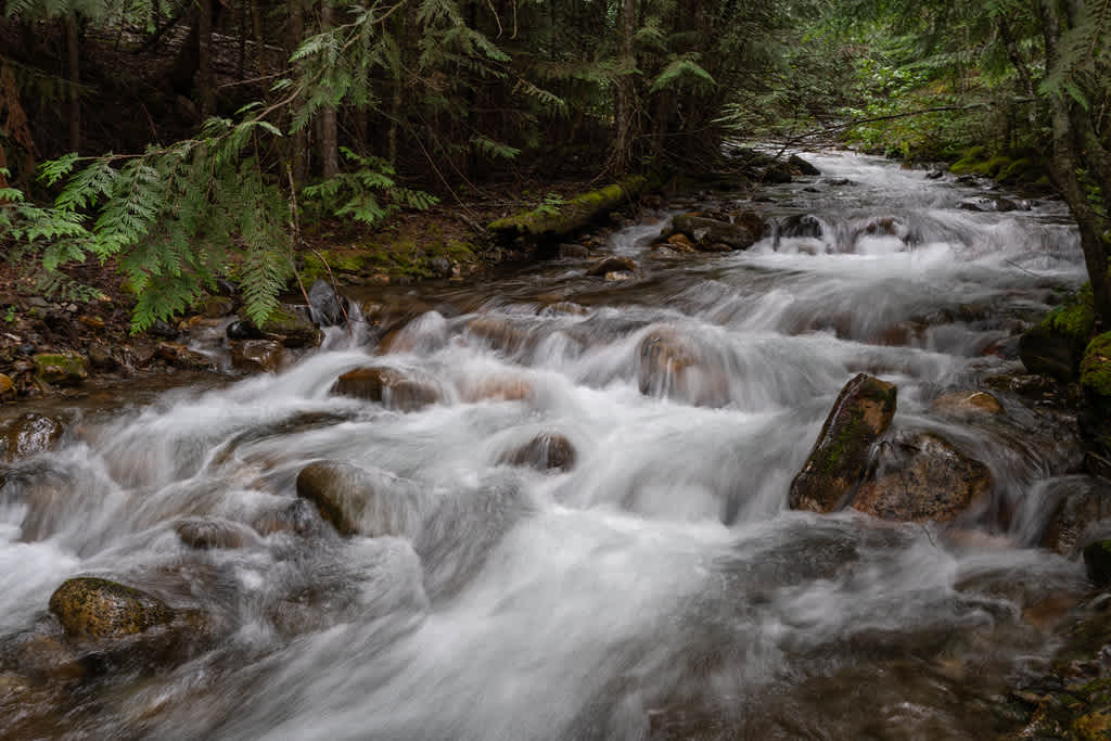Lockhart Creek Provincial Park