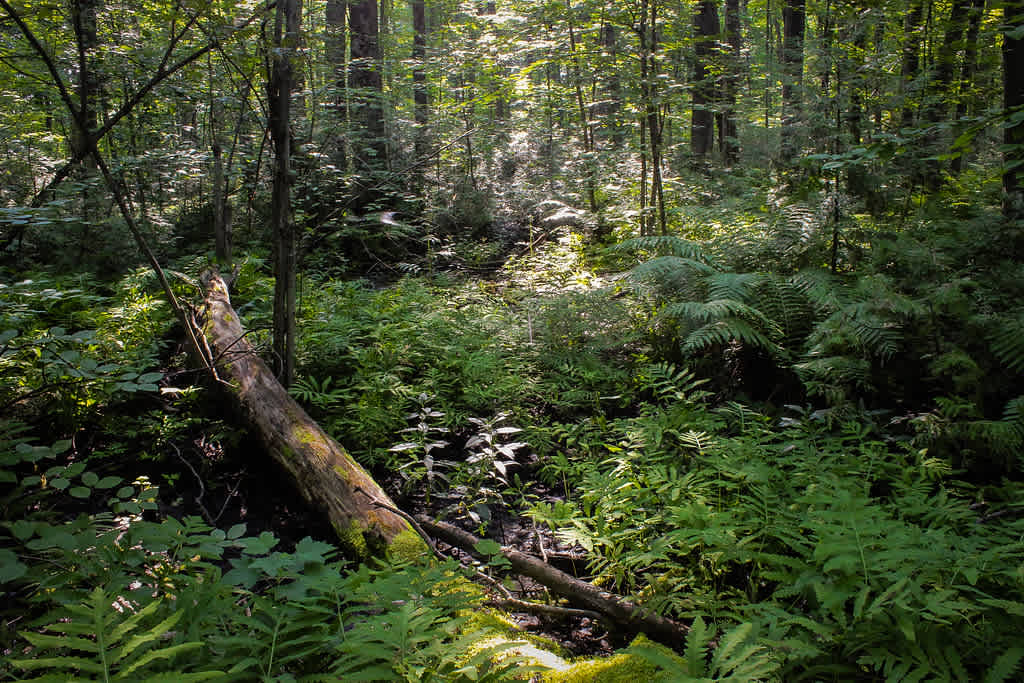 Mara Meadows Provincial Park