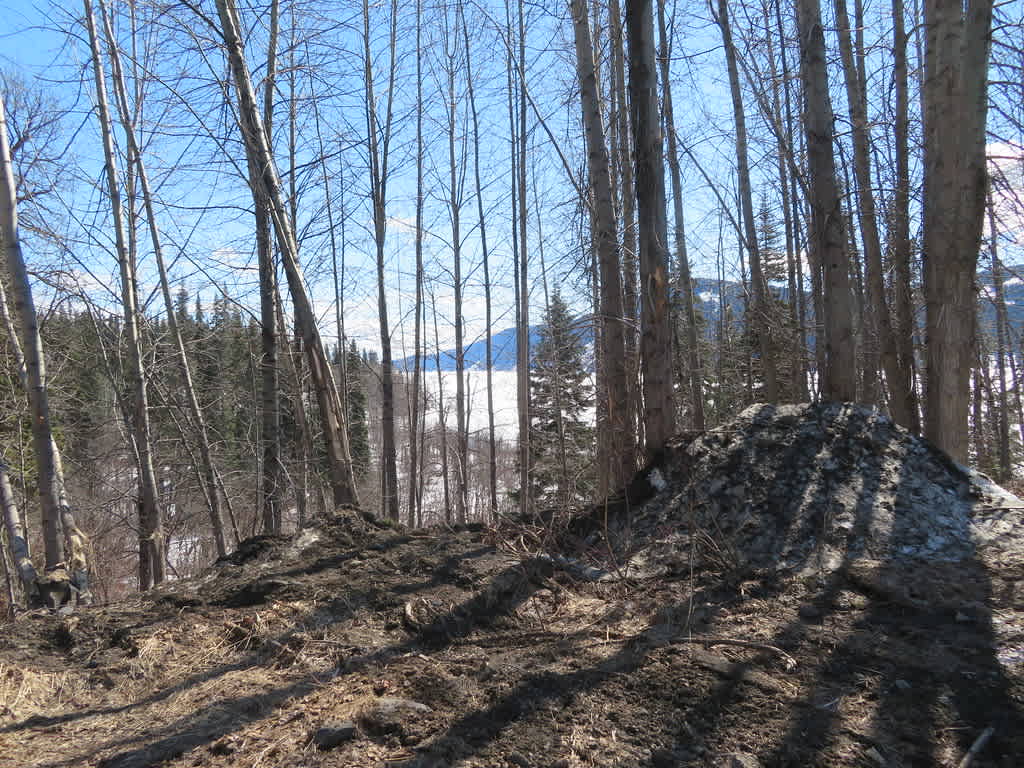 Meziadin Lake Provincial Park