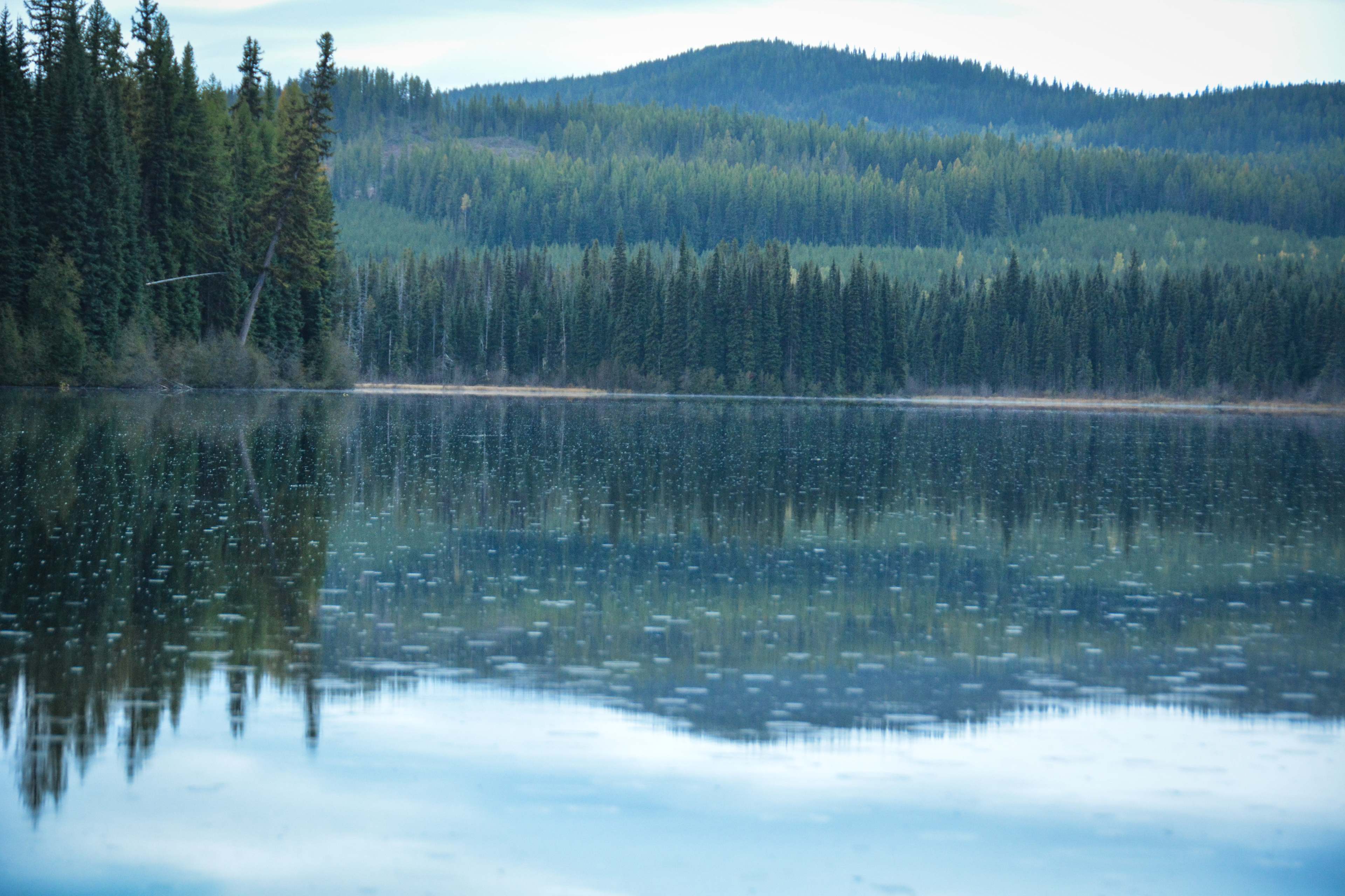 Nancy Greene Provincial Park