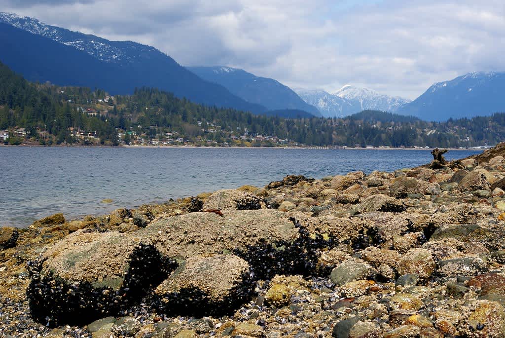 Plumper Cove Marine Provincial Park