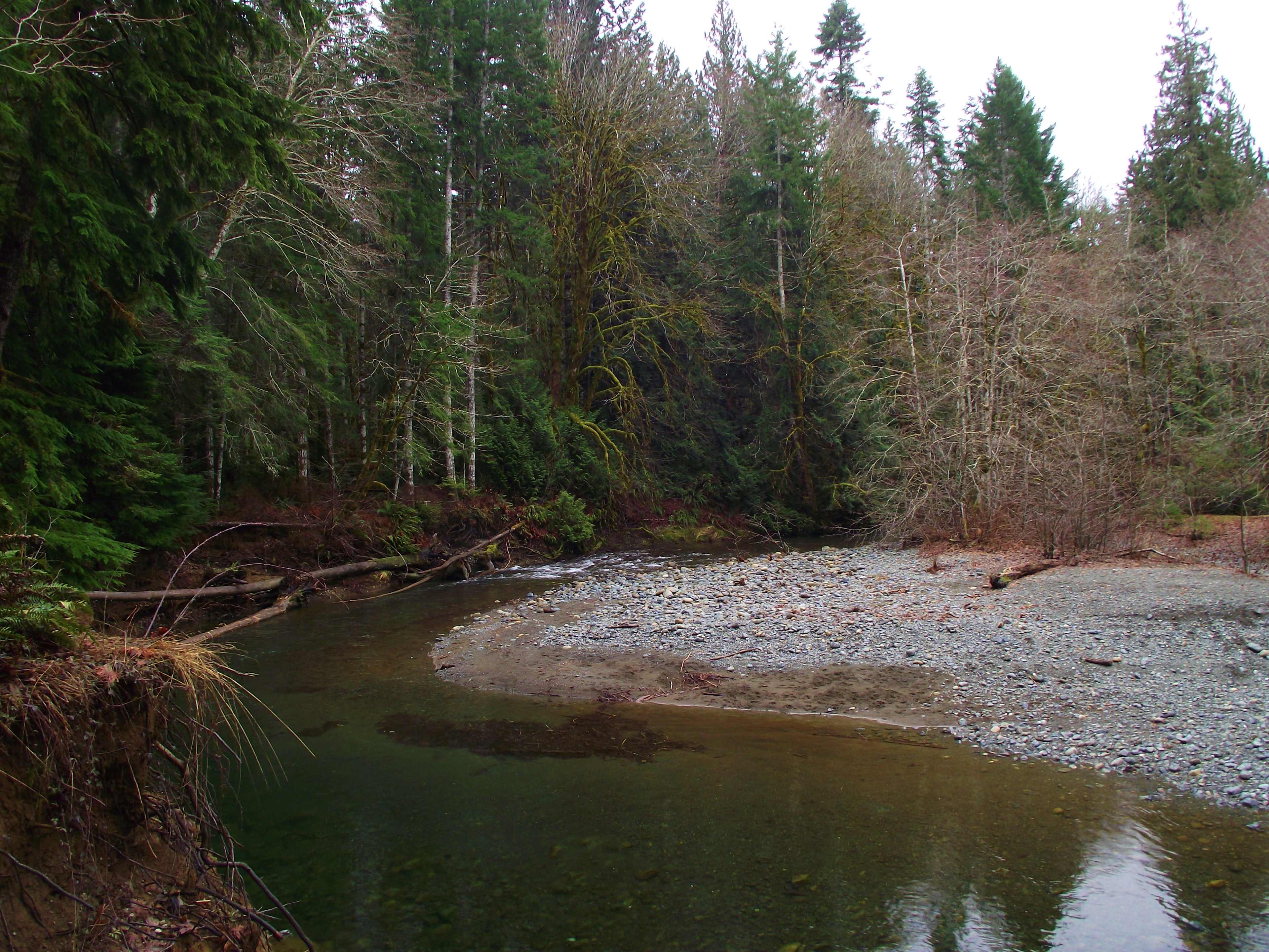 Rosewall Creek Provincial Park