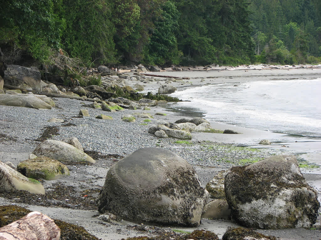 Sandwell Provincial Park
