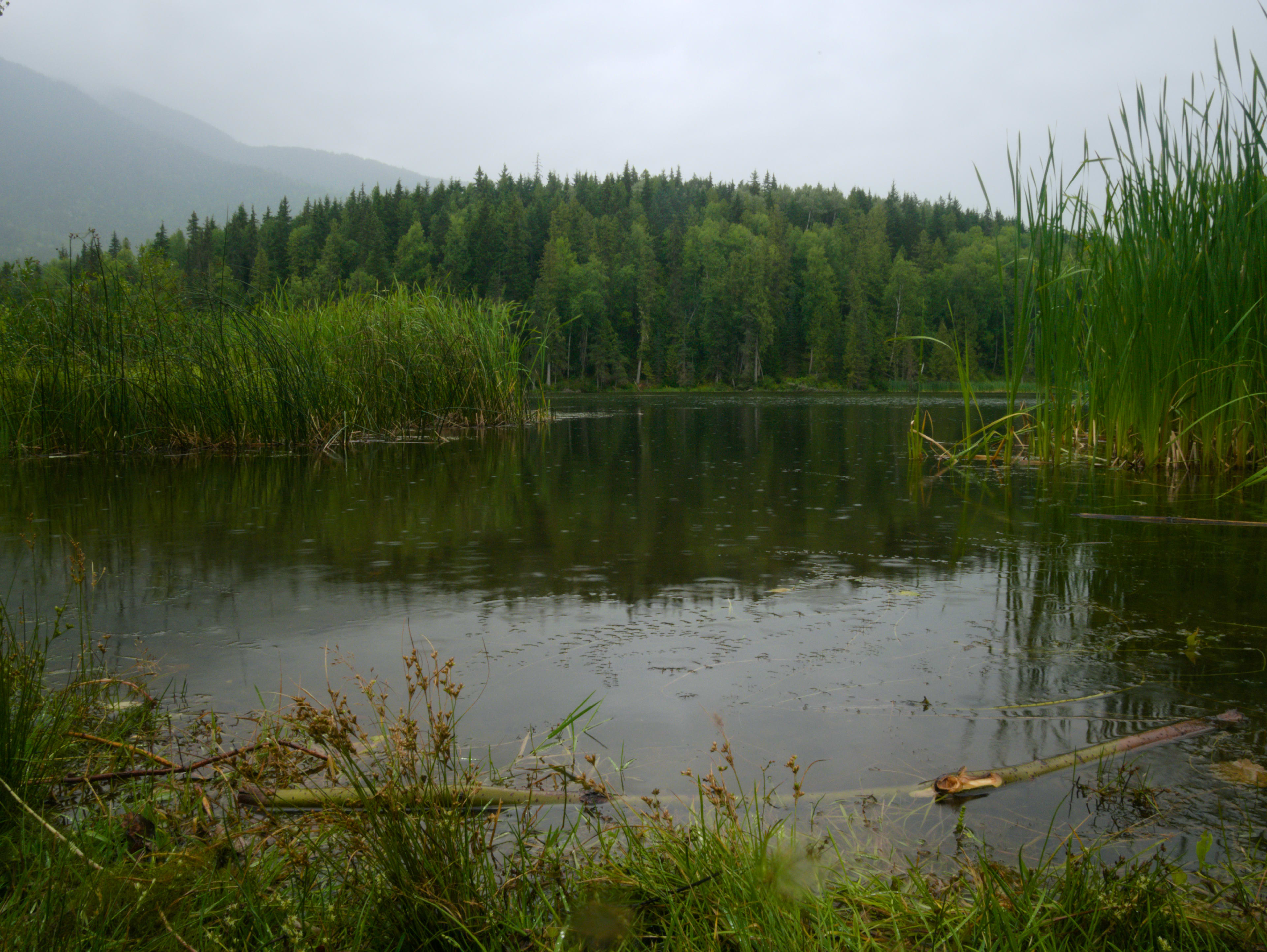 Seeley Lake Provincial Park