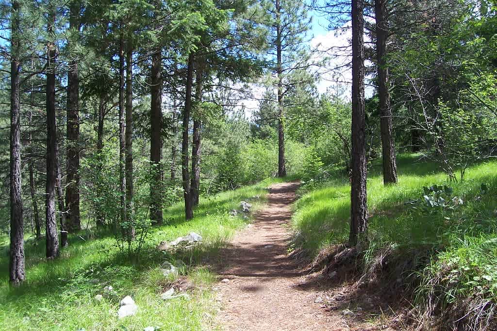 Skihist Provincial Park