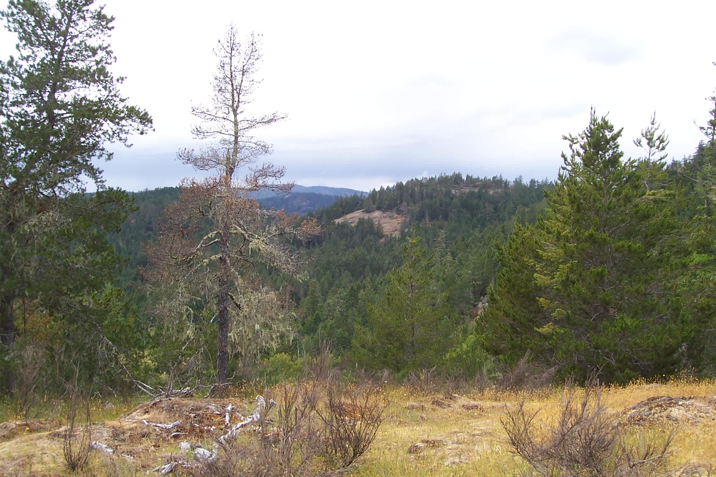 Sooke Mountain Provincial Park