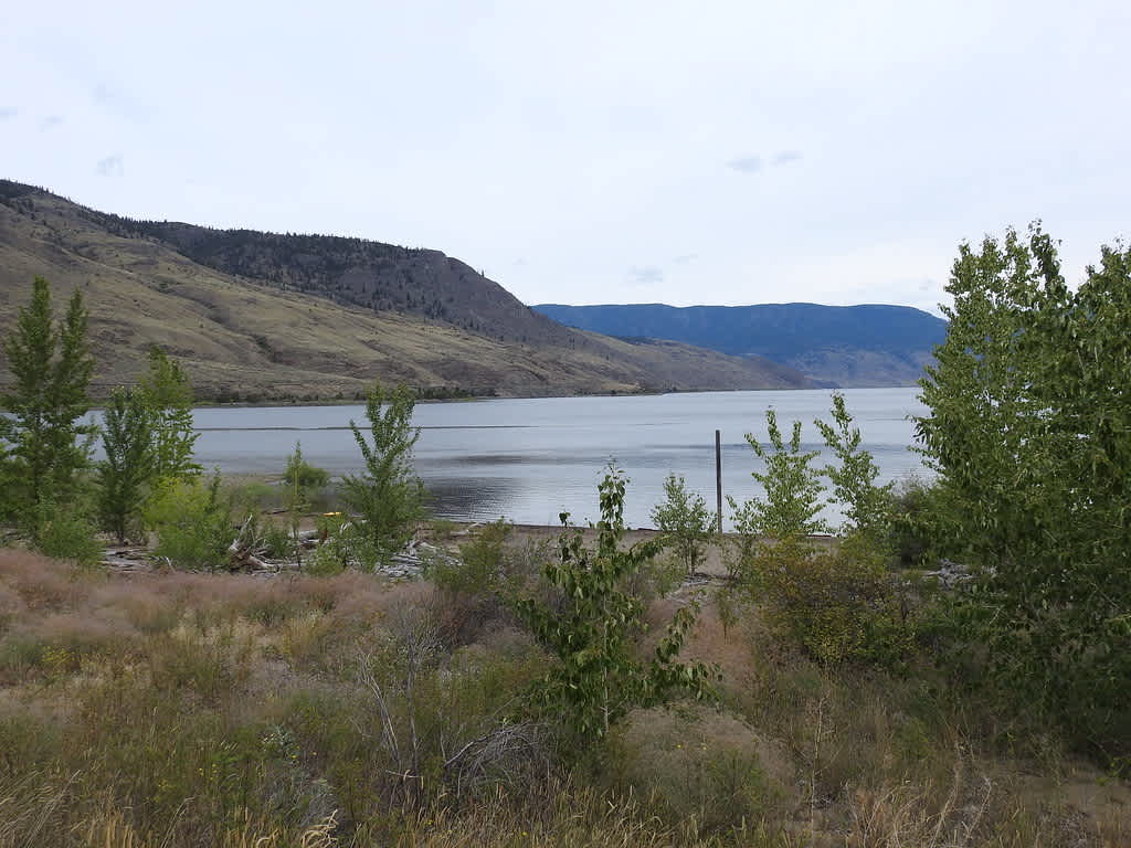 Steelhead Provincial Park