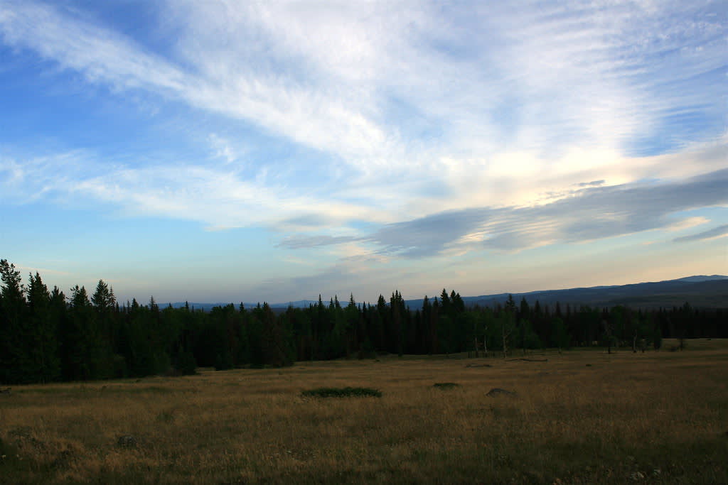 Tunkwa Provincial Park
