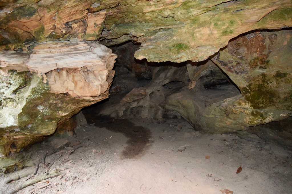 Pickle Springs Natural Area