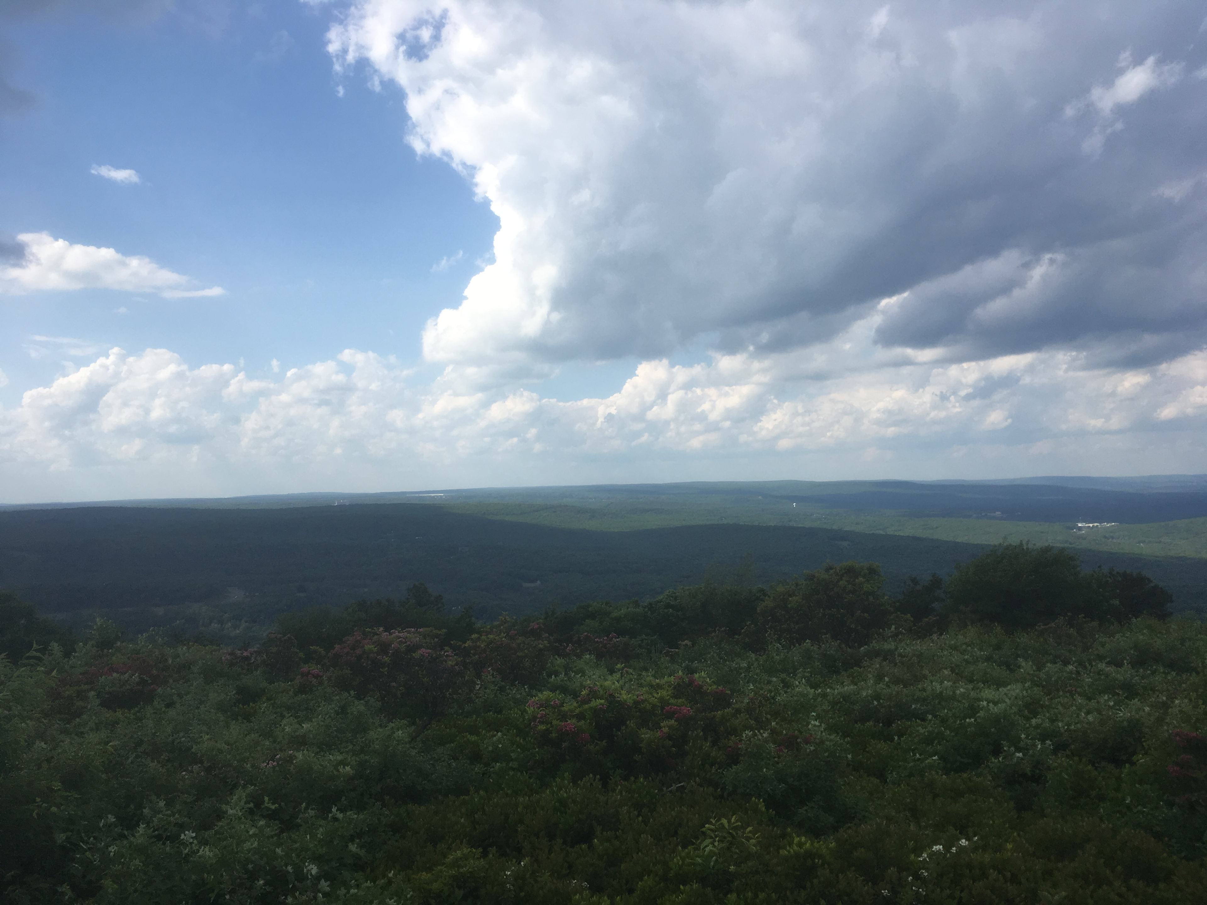 Big Pocono State Park