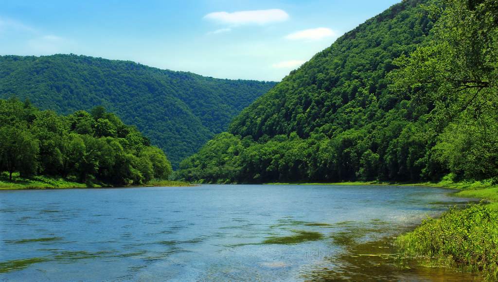 Bucktail State Park Natural Area