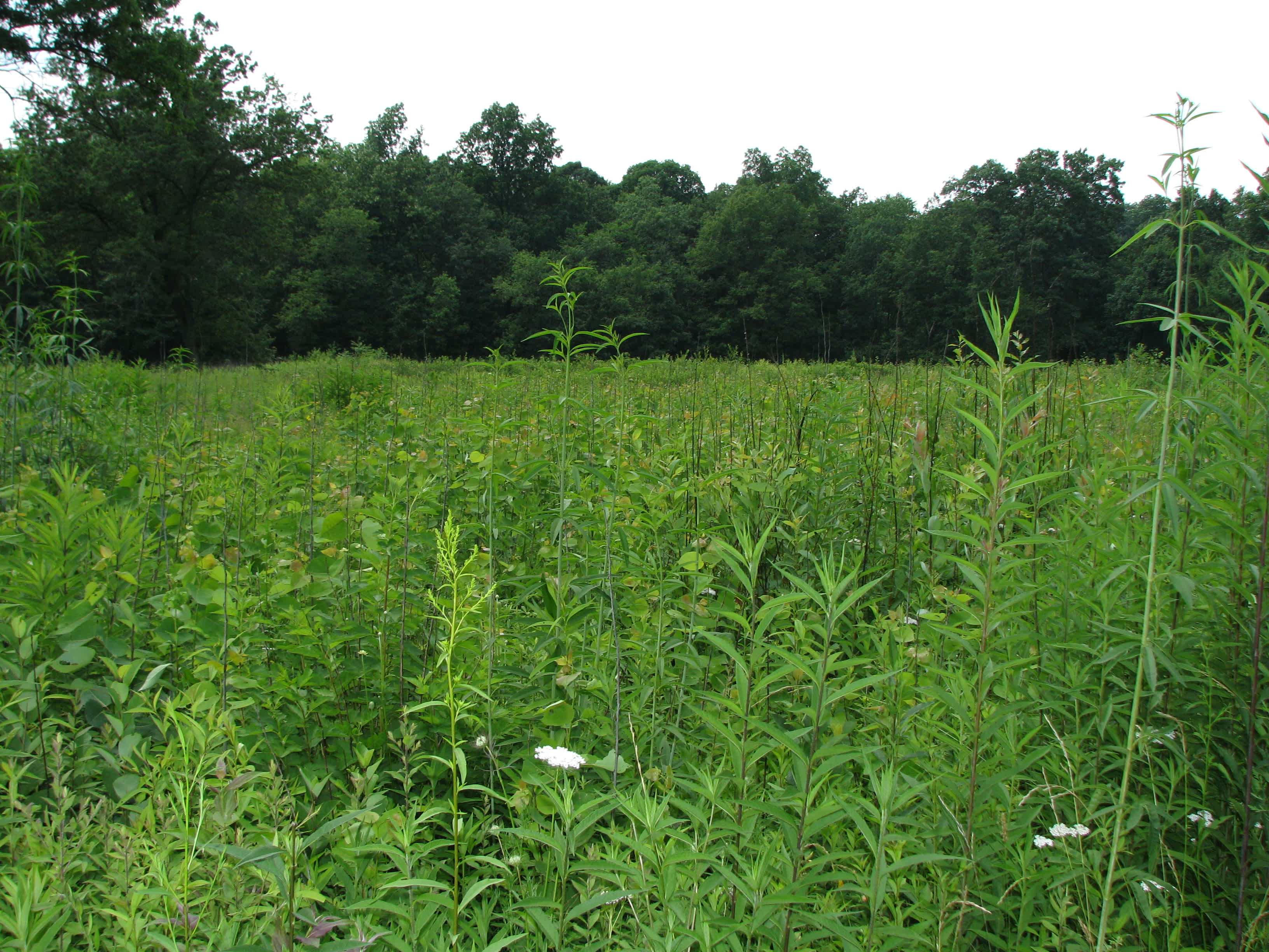 Jennings Environmental Education Center