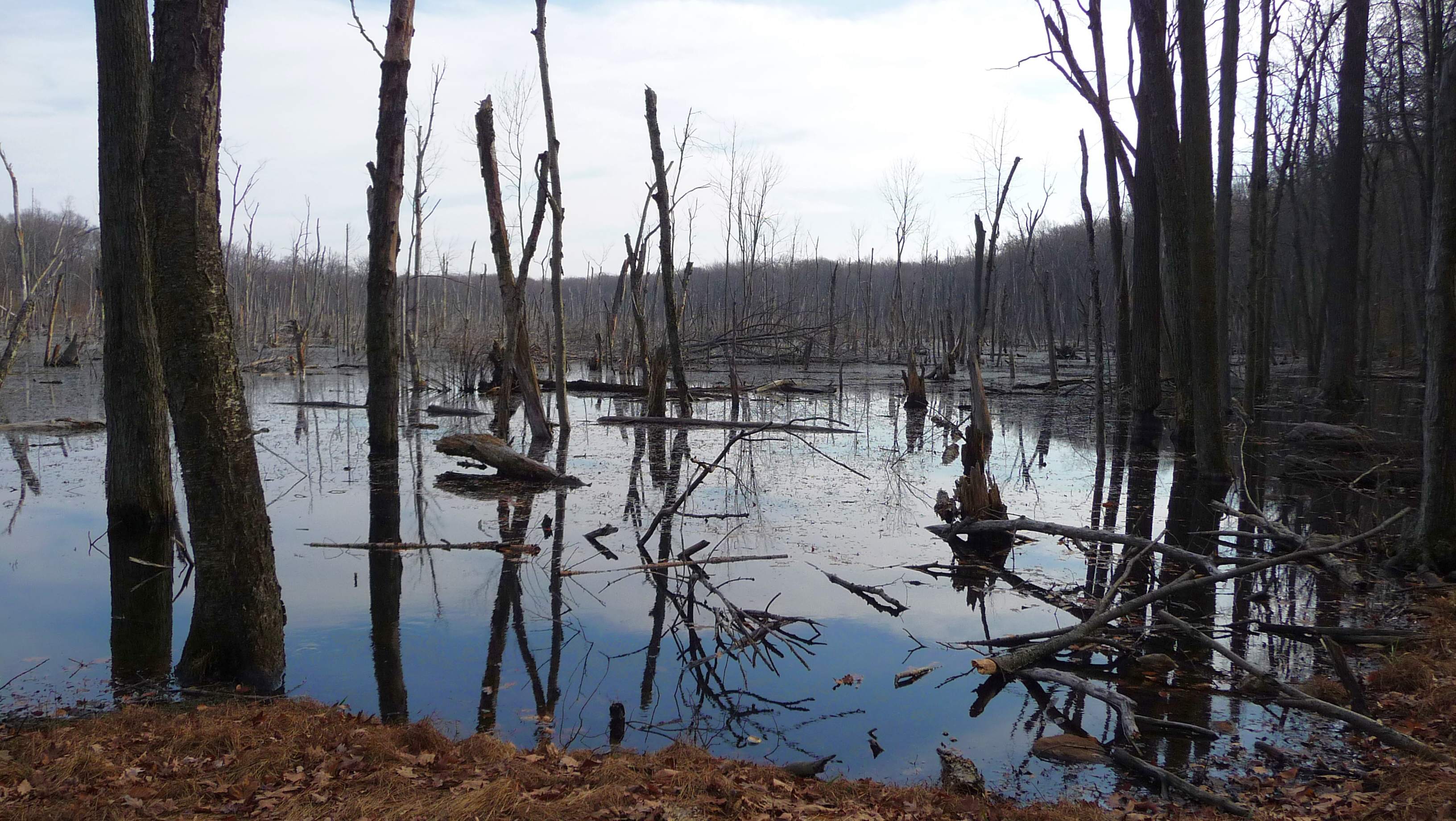 Farny State Park