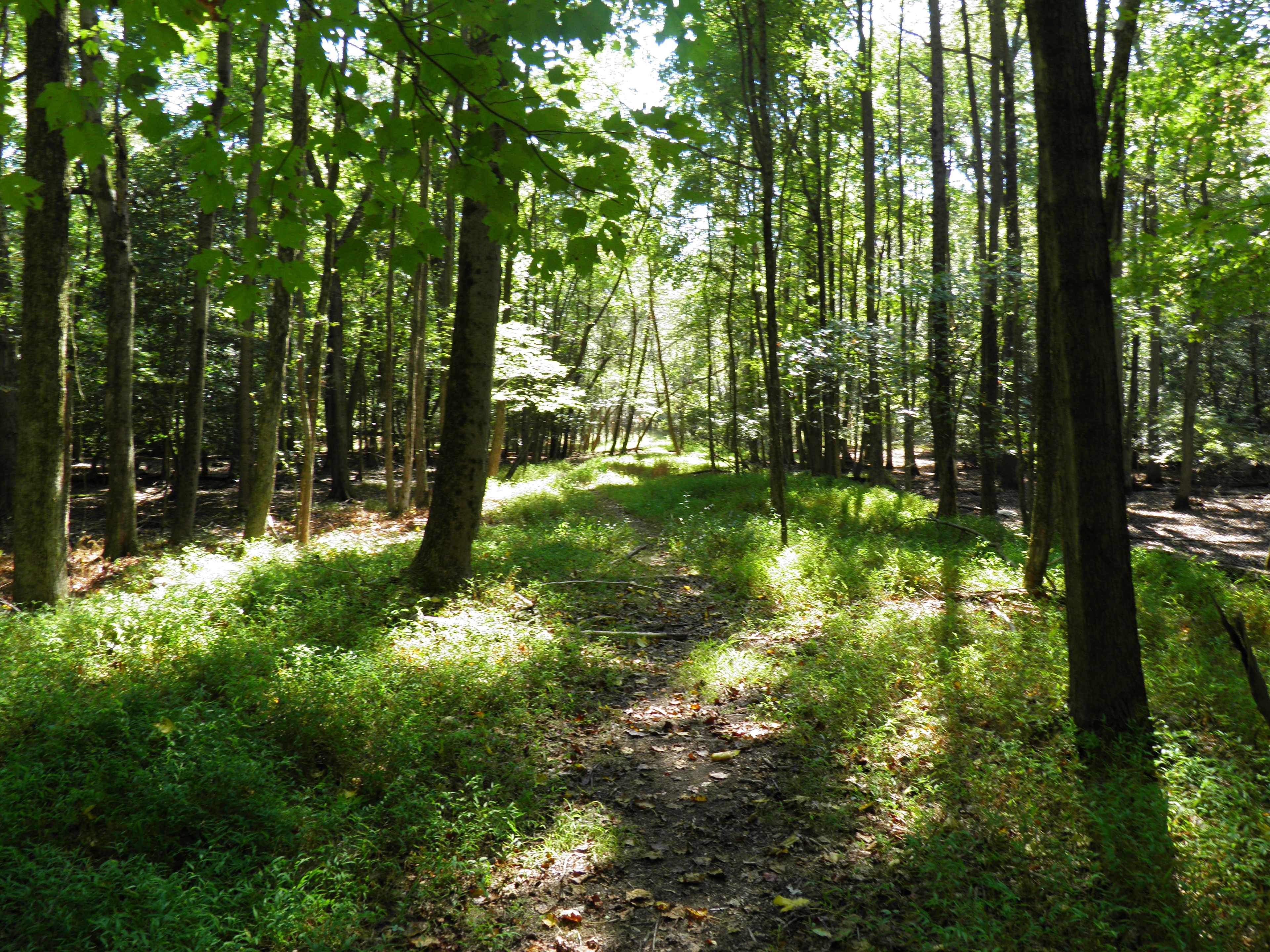 Rancocas State Park