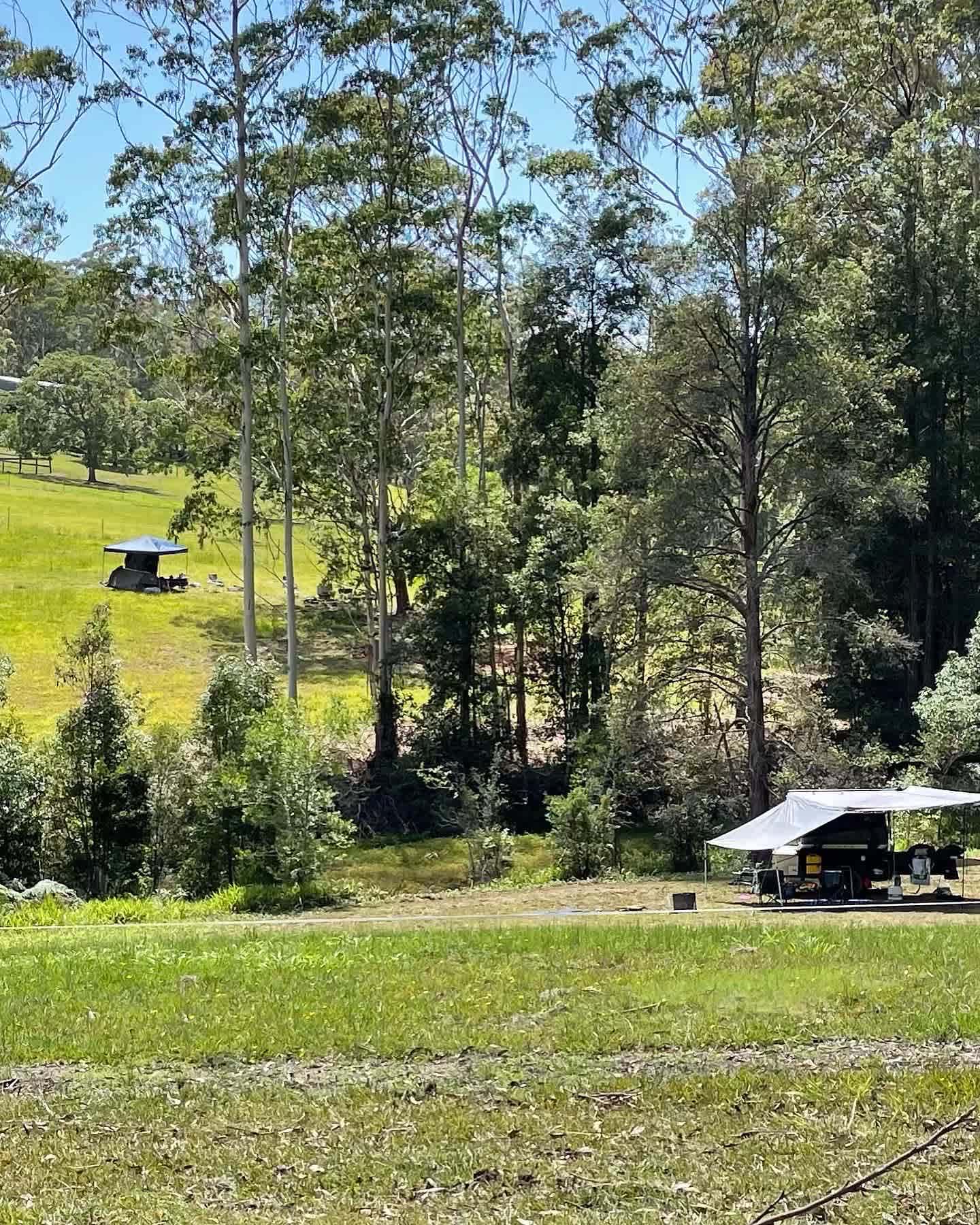 Bucca Valley Blueberries Farmstay