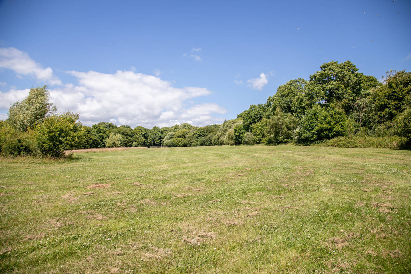Dernwood Farm Camping & Glamping