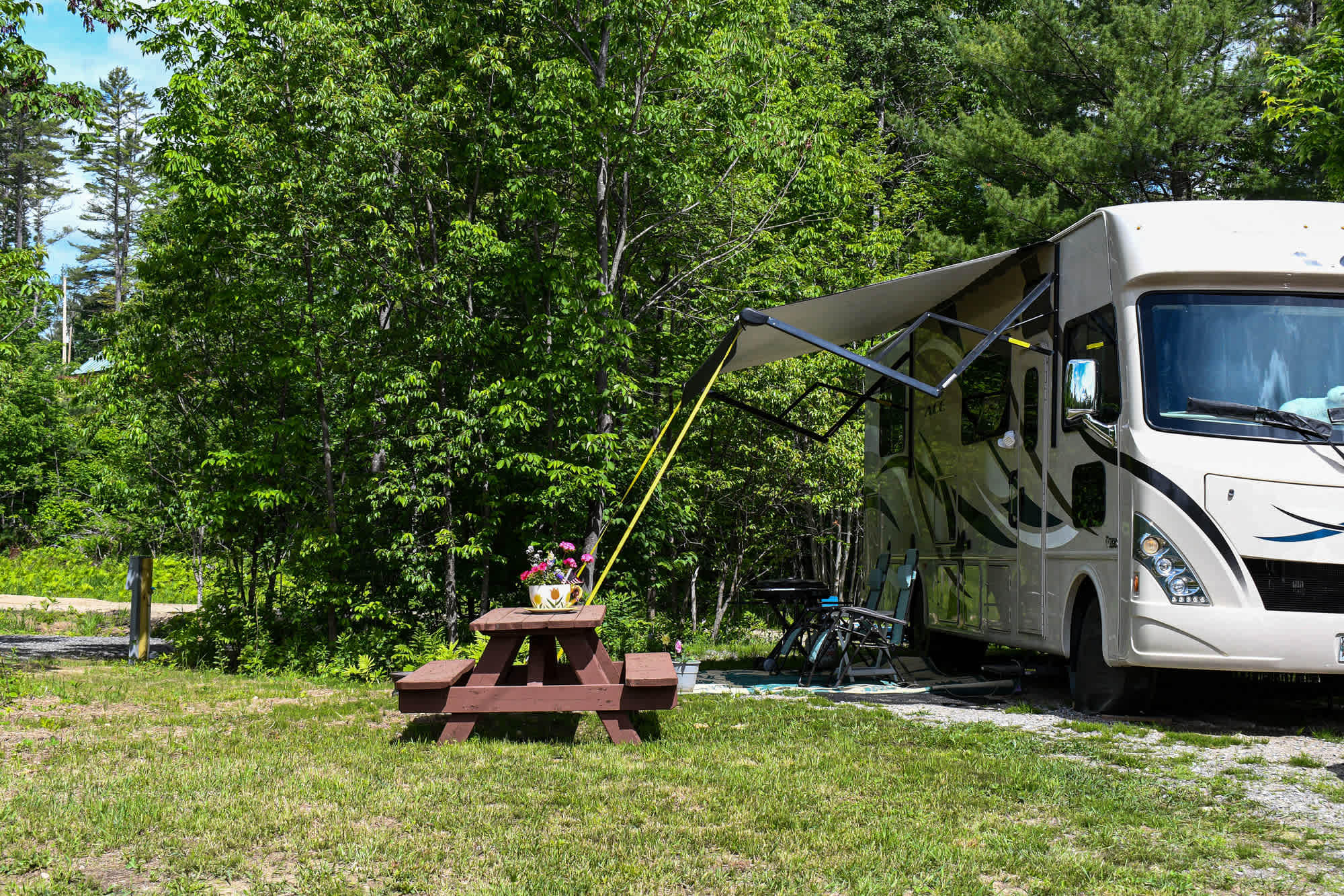 Lone Mountain Campground