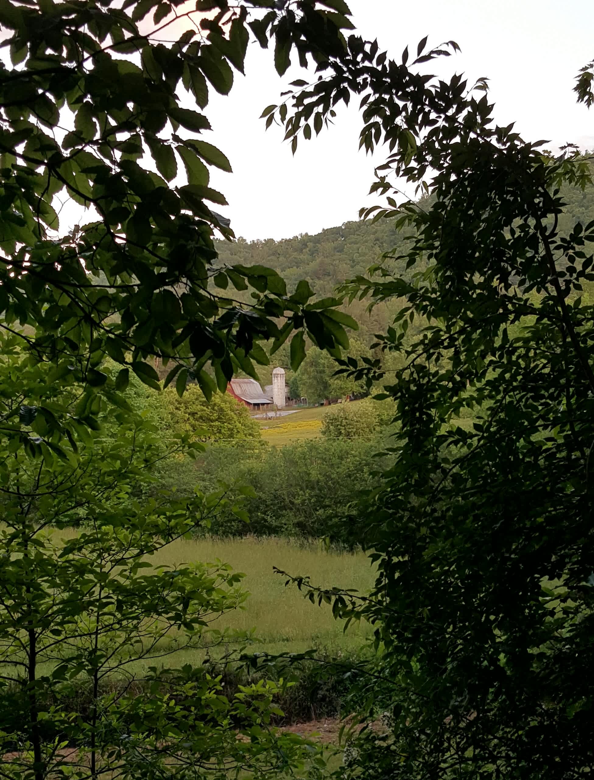 Back Yard Campground