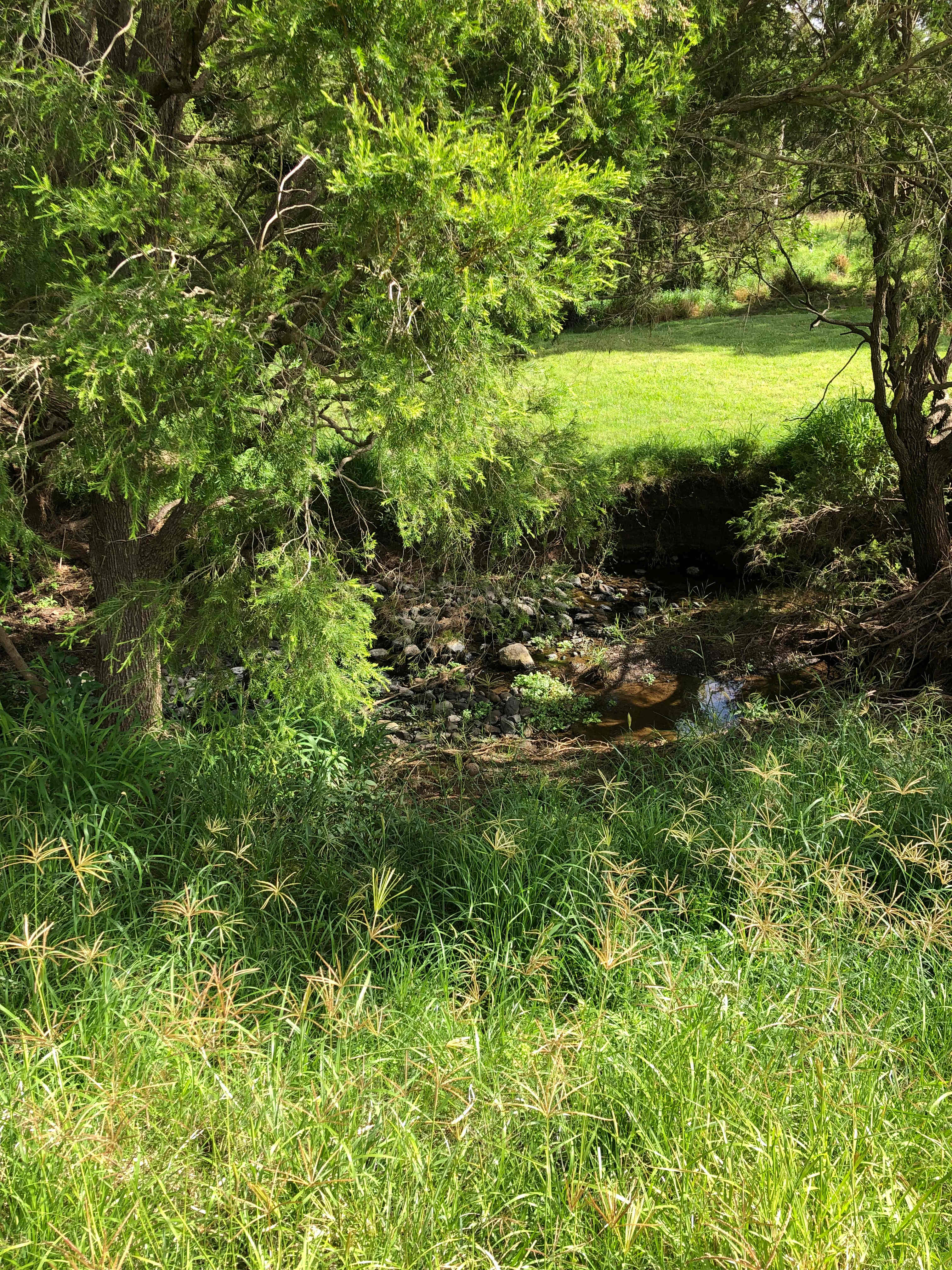 Camp Creek Retreat