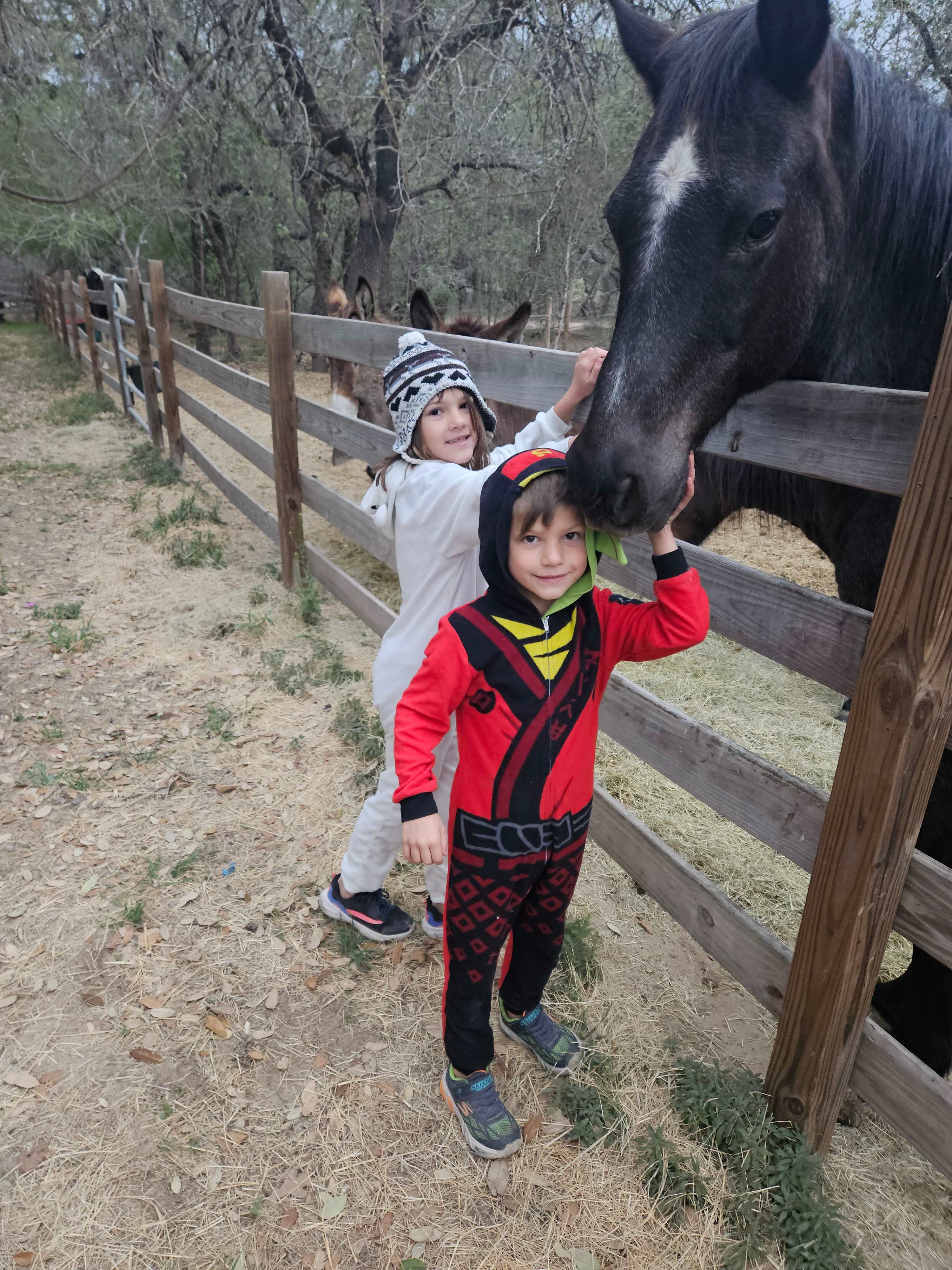Mockingbird Farms