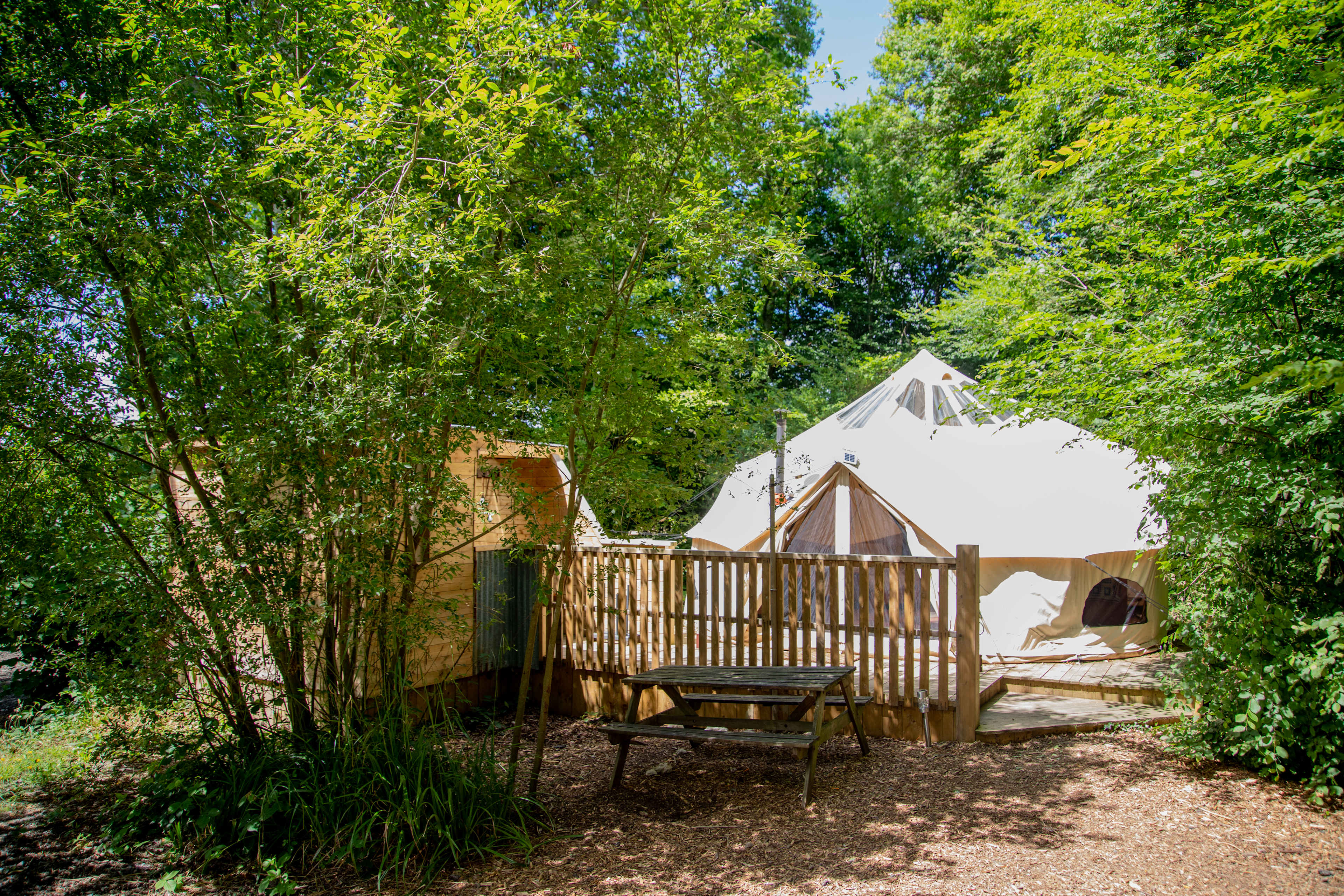 Dernwood Farm Camping & Glamping