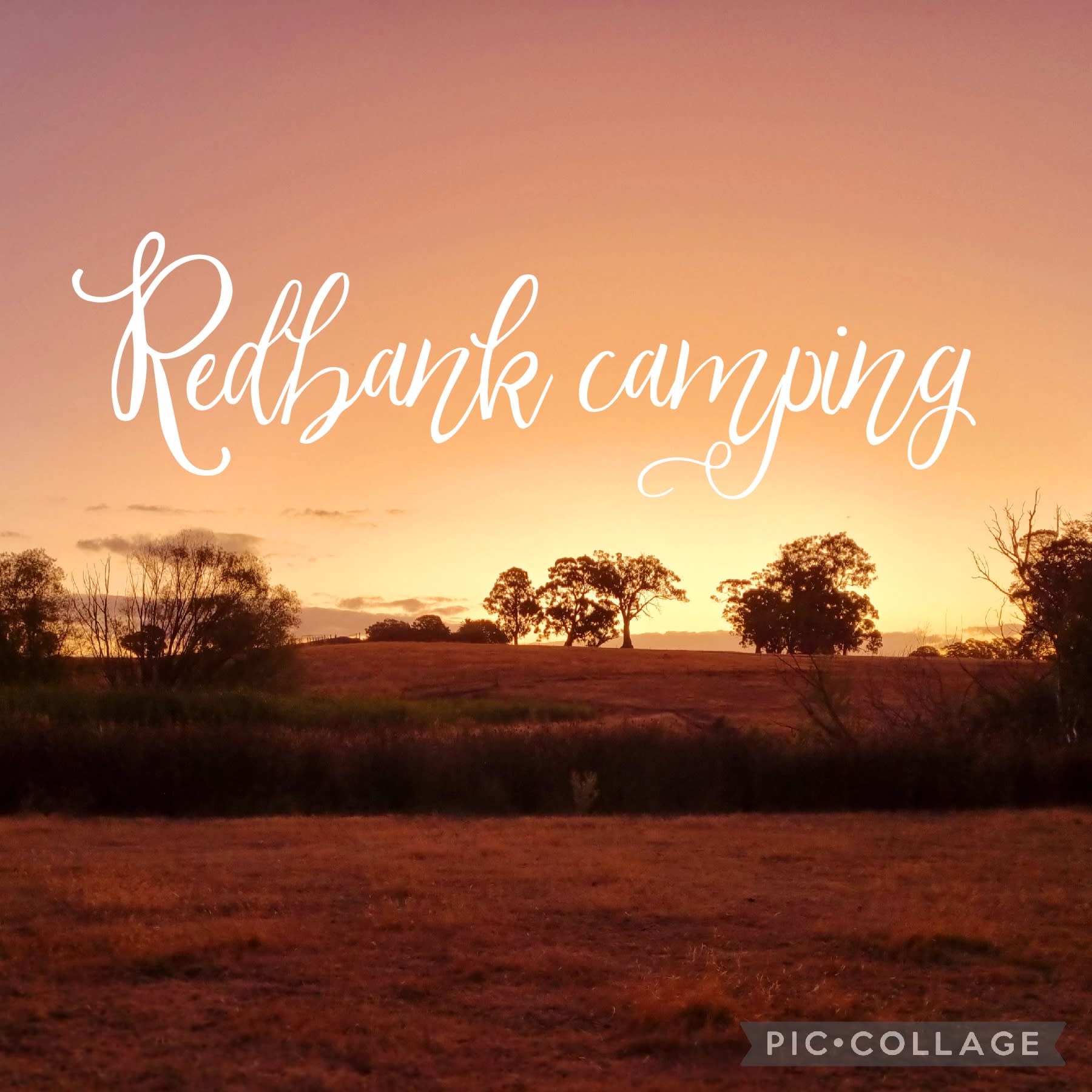 Redbank156 camping / PITCHED cabins