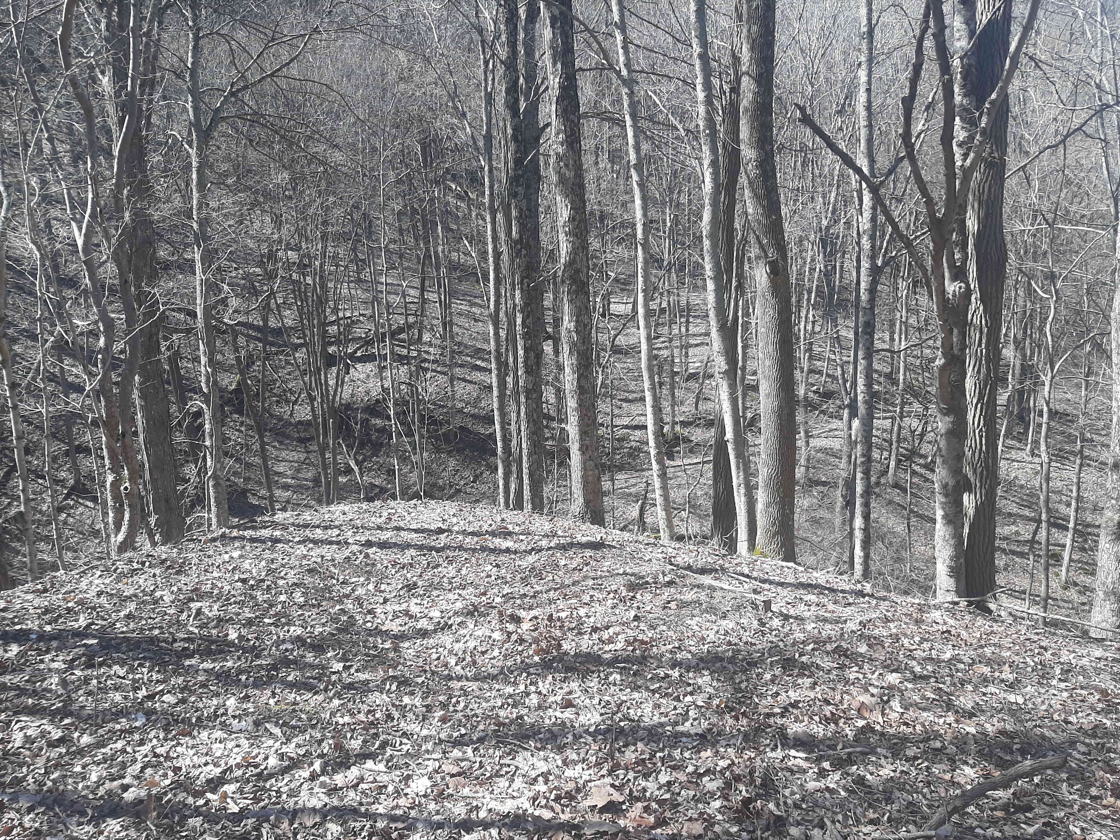 This is one of my favorite spots on the farm to just sit. It is lovely to see and listen to the sparkling water. Ive deliberately kept it minimally primitive. Barely distinguishable, is a small flat spot for a two man tent here perched above the run. Can you see it? 