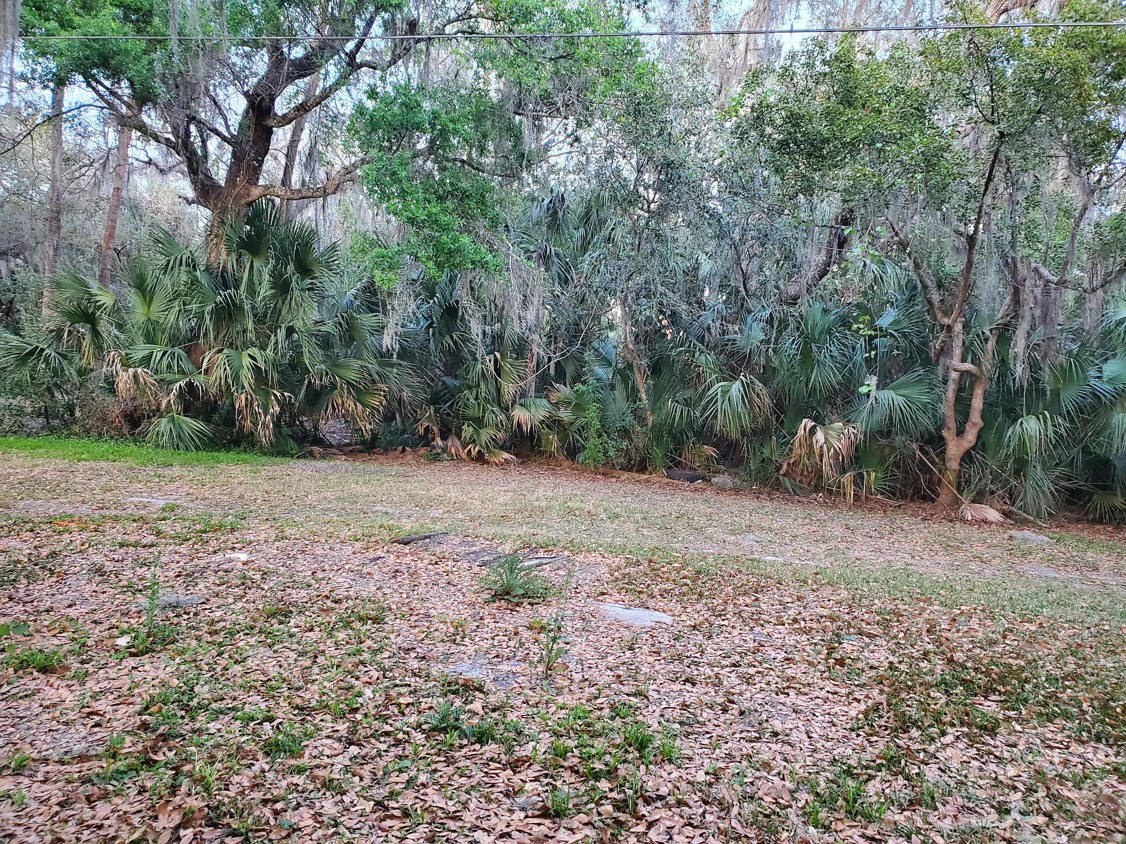 Camping spot.