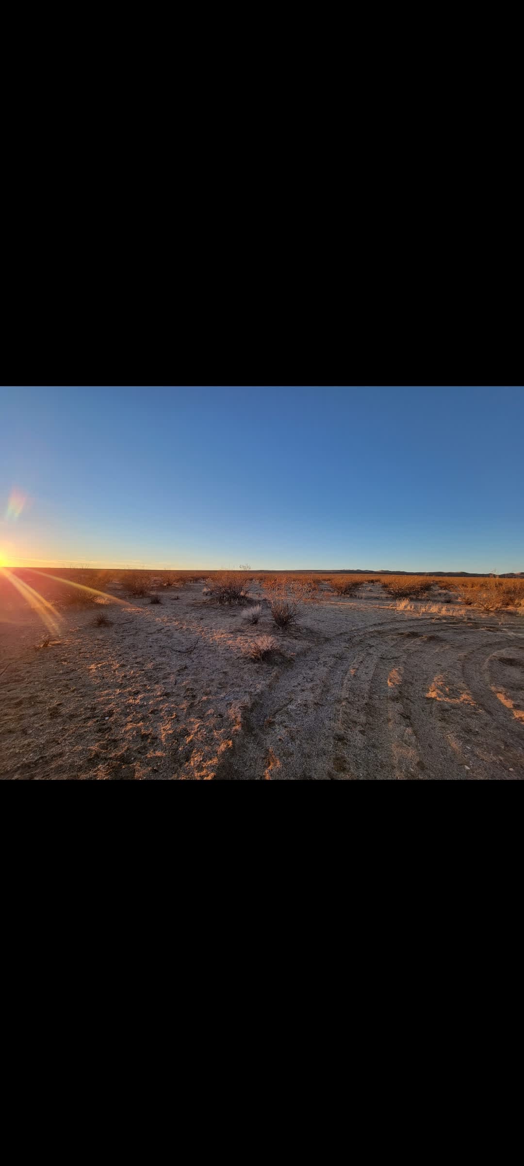 Desert Stargazers Dream