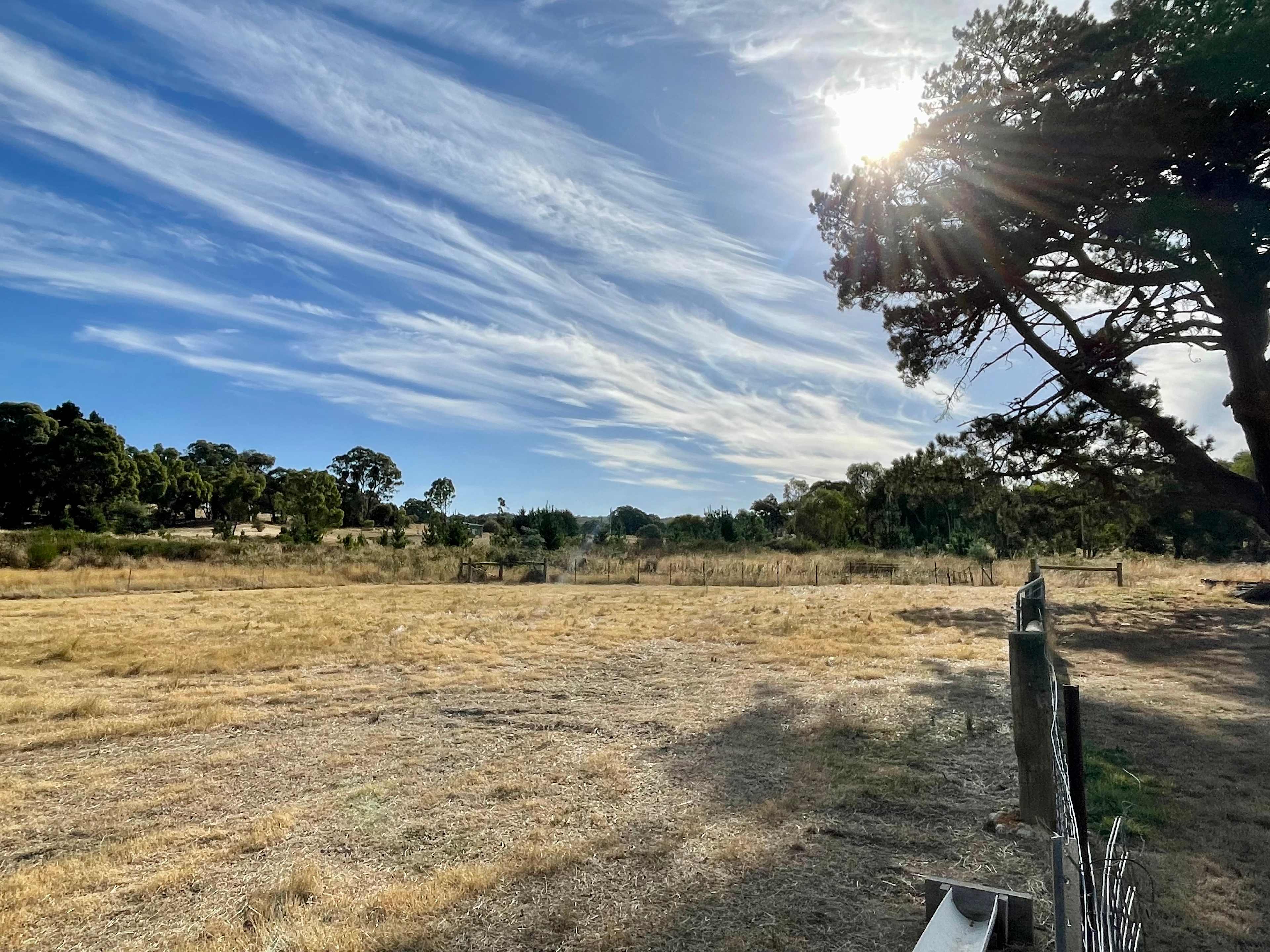 View of site. Fenced in small paddock with small dam. 