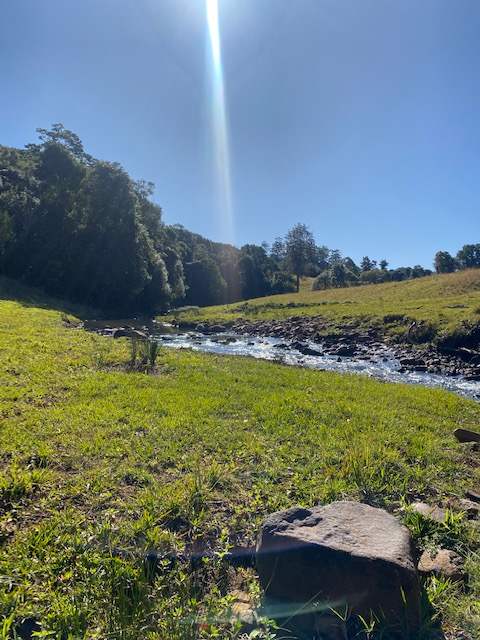 Barachi by the Creek