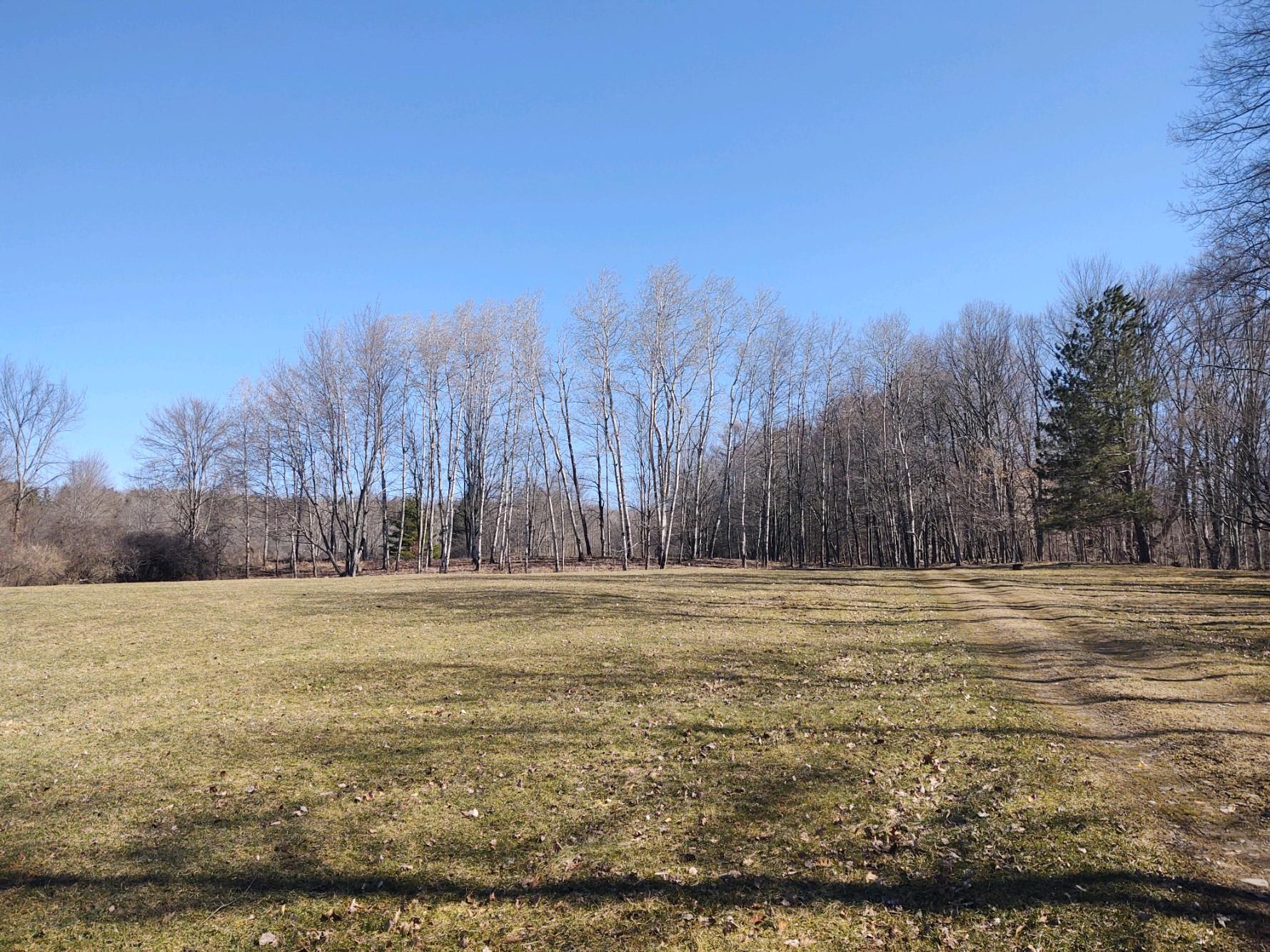 Open fields for pitching a tent.