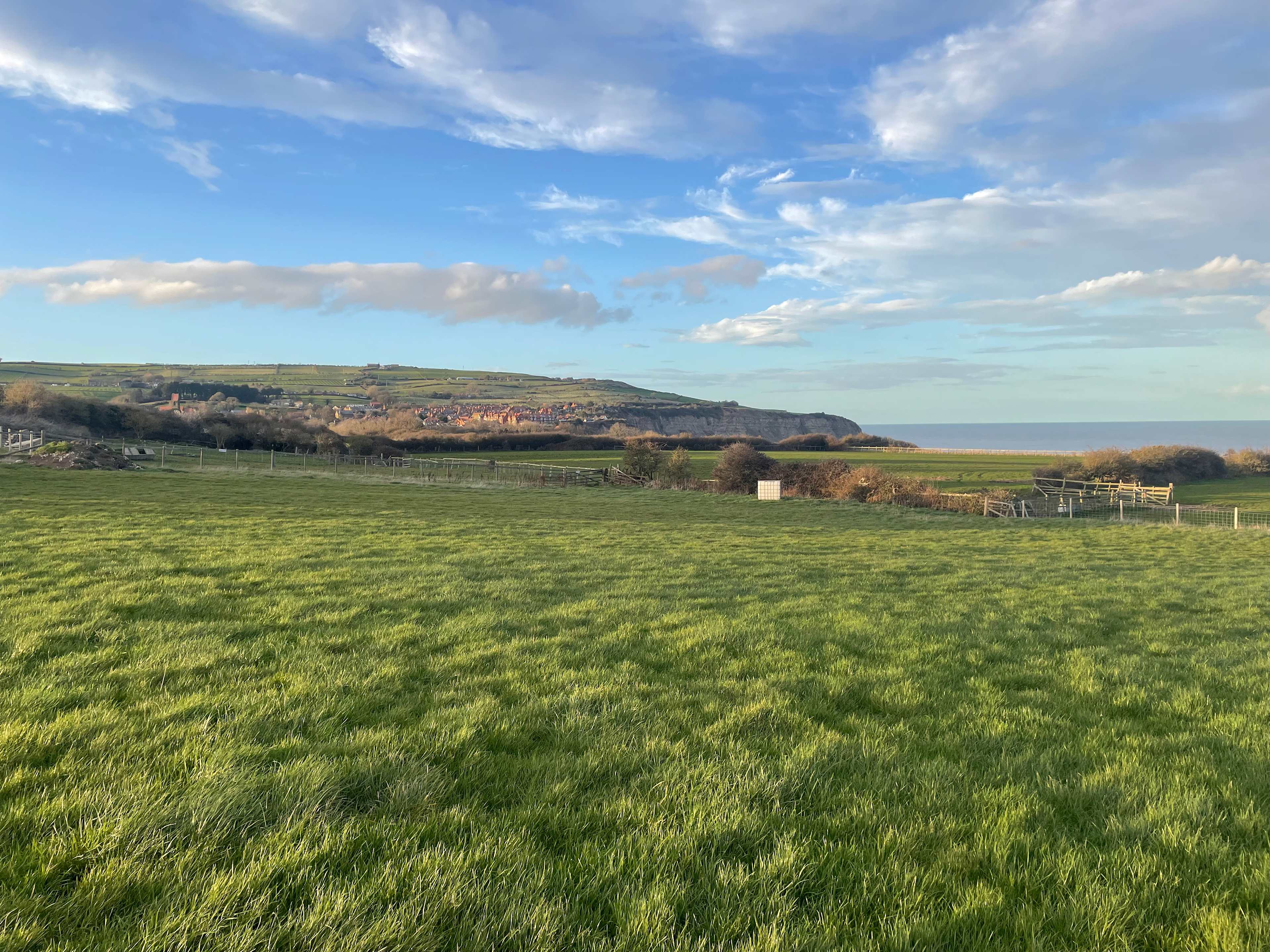 Farsyde Farm