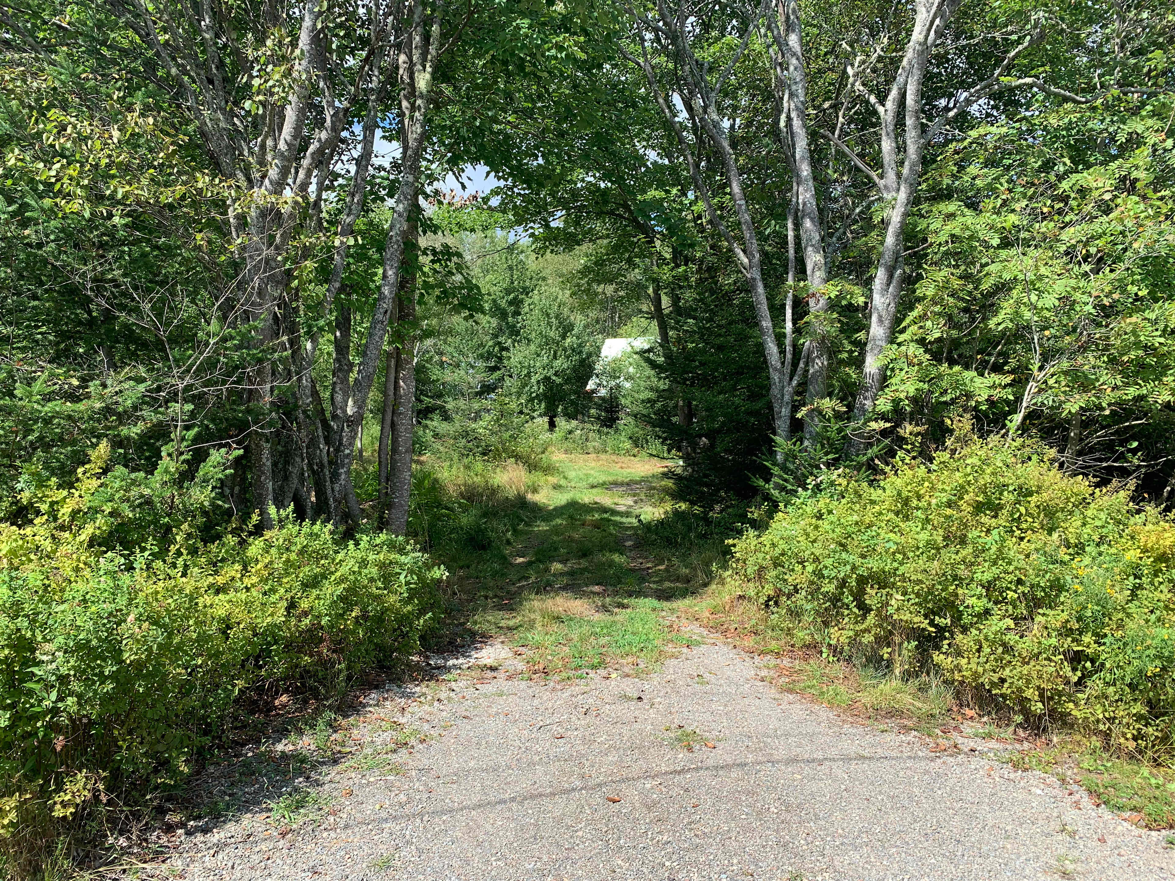 Entrance to the driveway. 