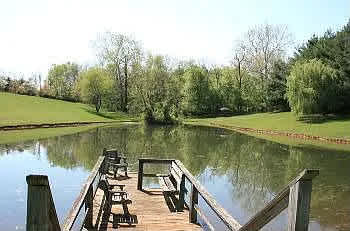 Brayden's Pond