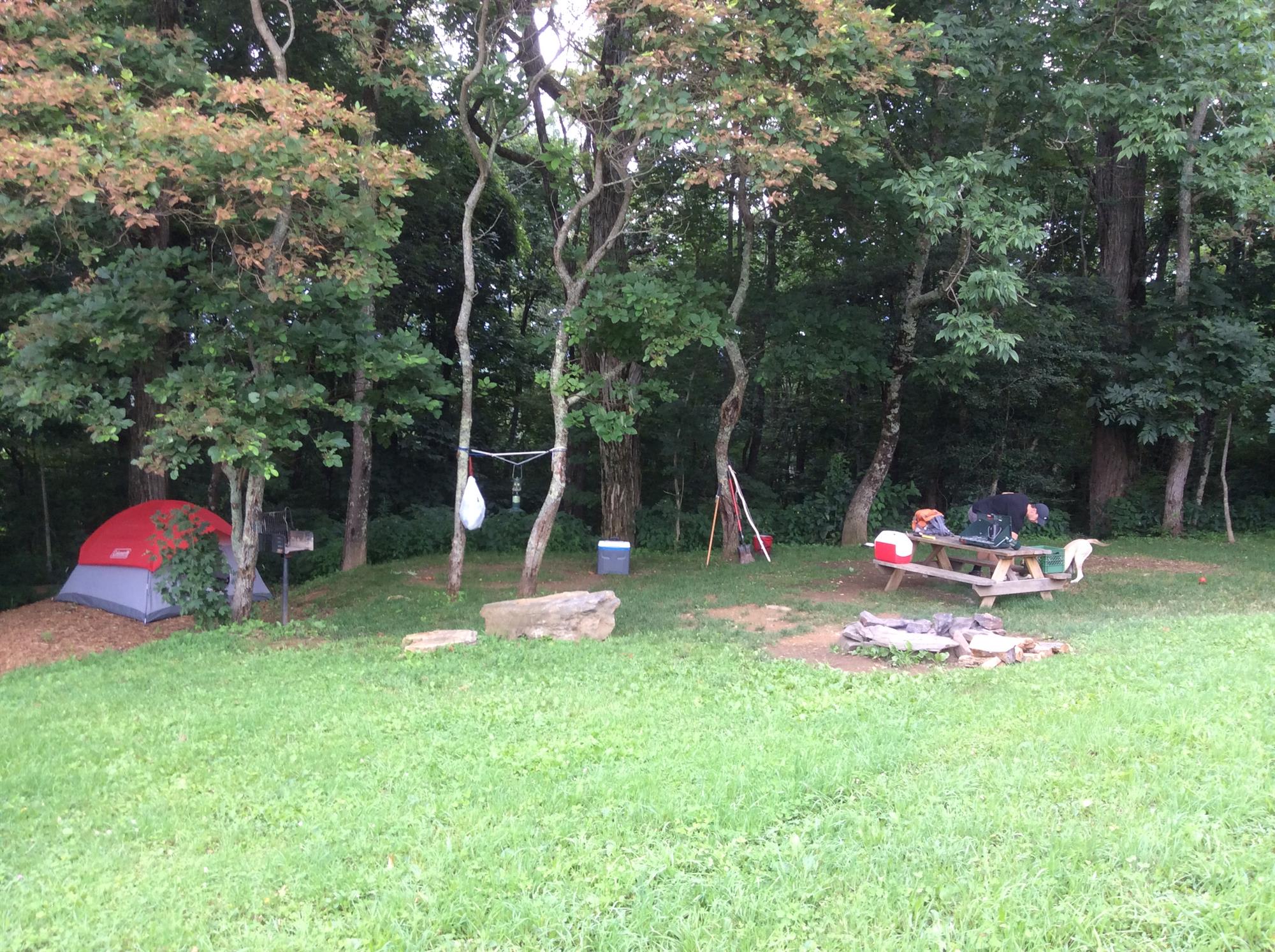 Blue Bear Mountain Camp