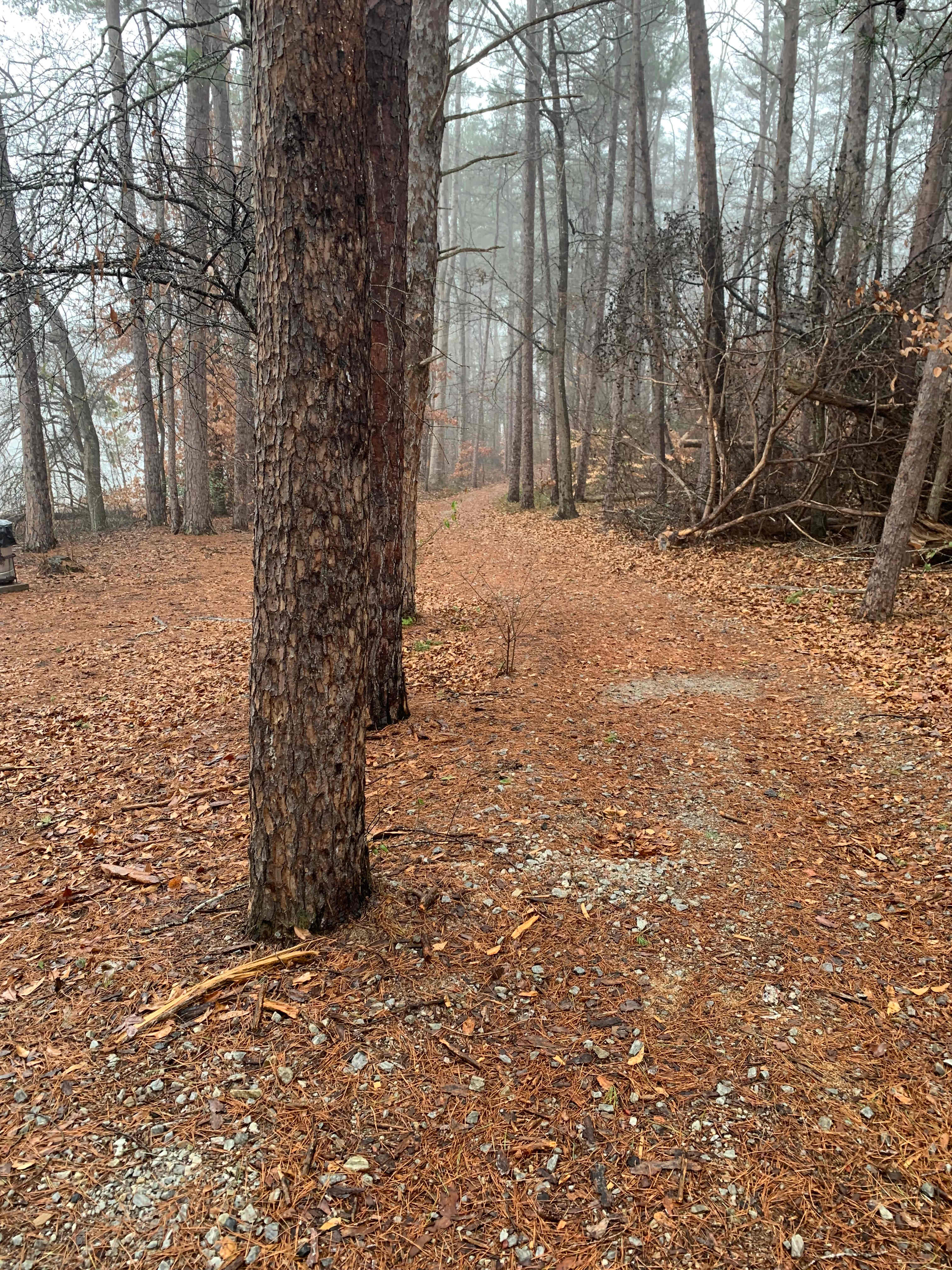 Whispering Pines Camp