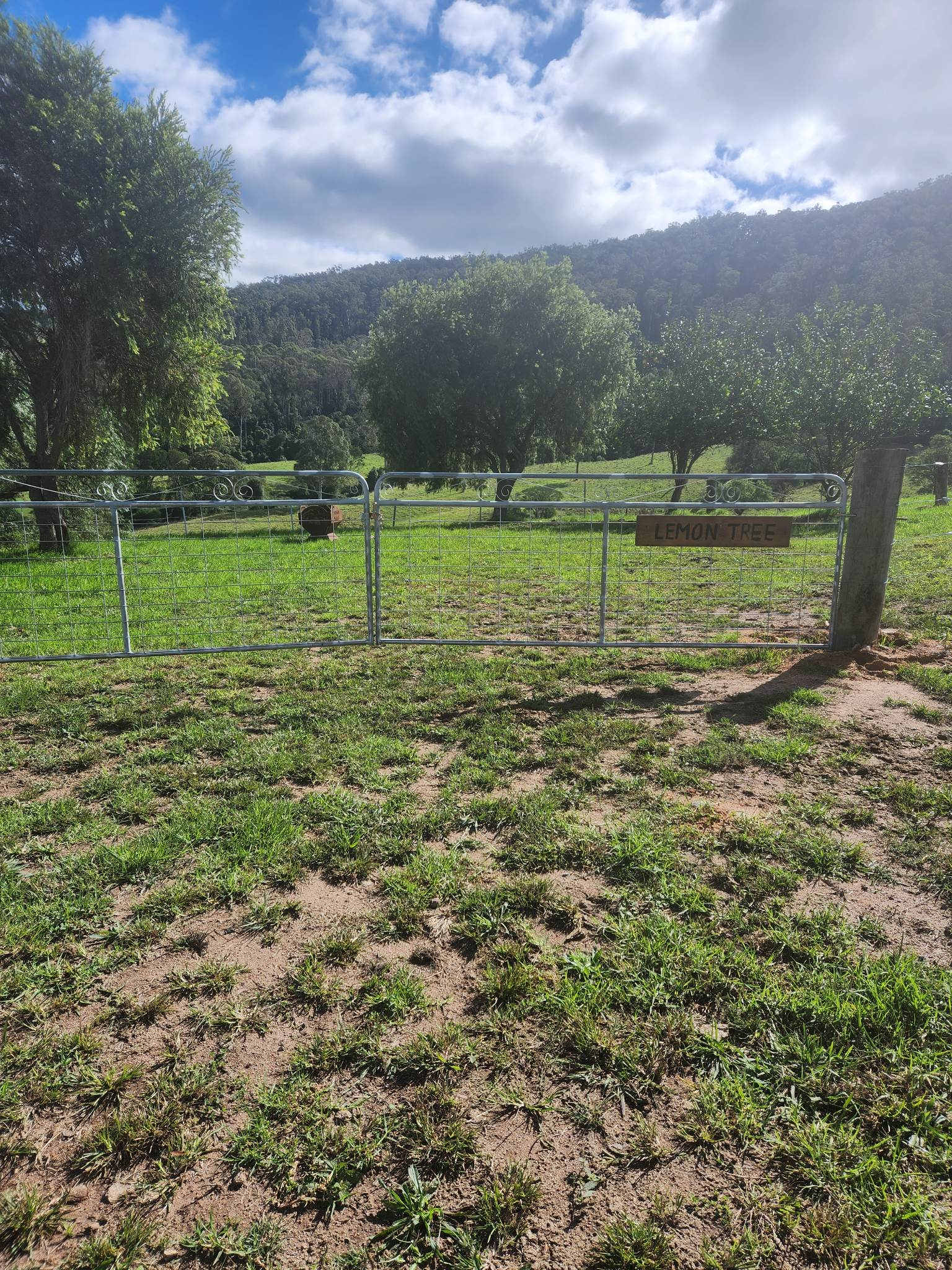 Sapphire Coast Dairy-Homestead