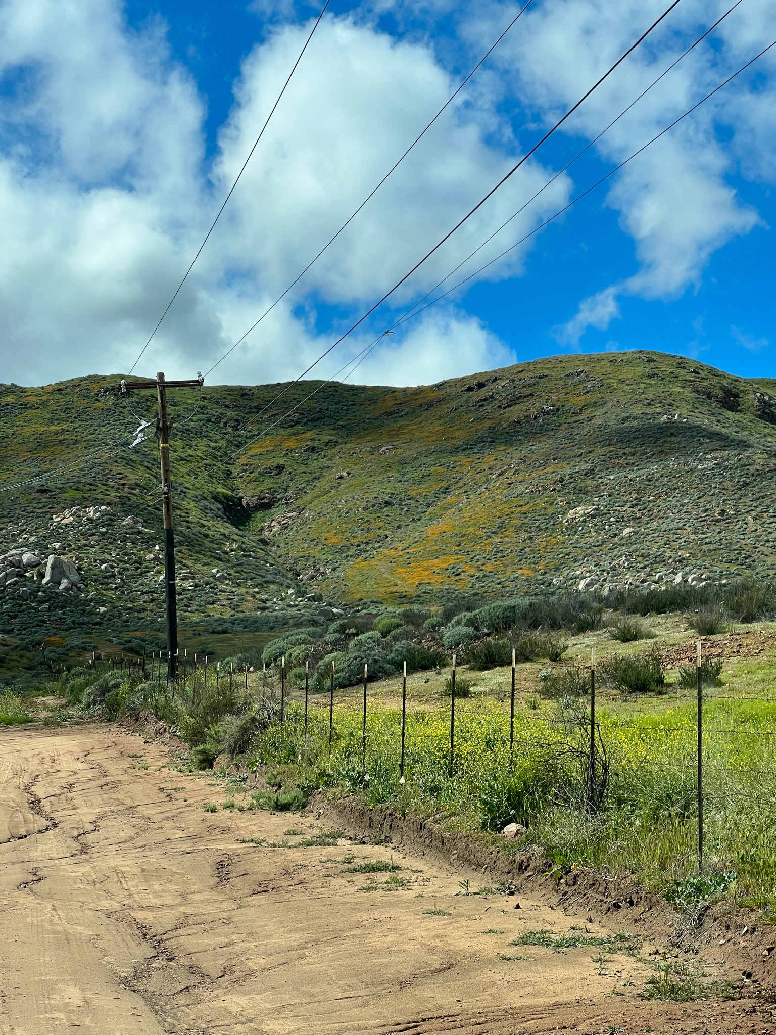 Gold Nugget Ranch Resort