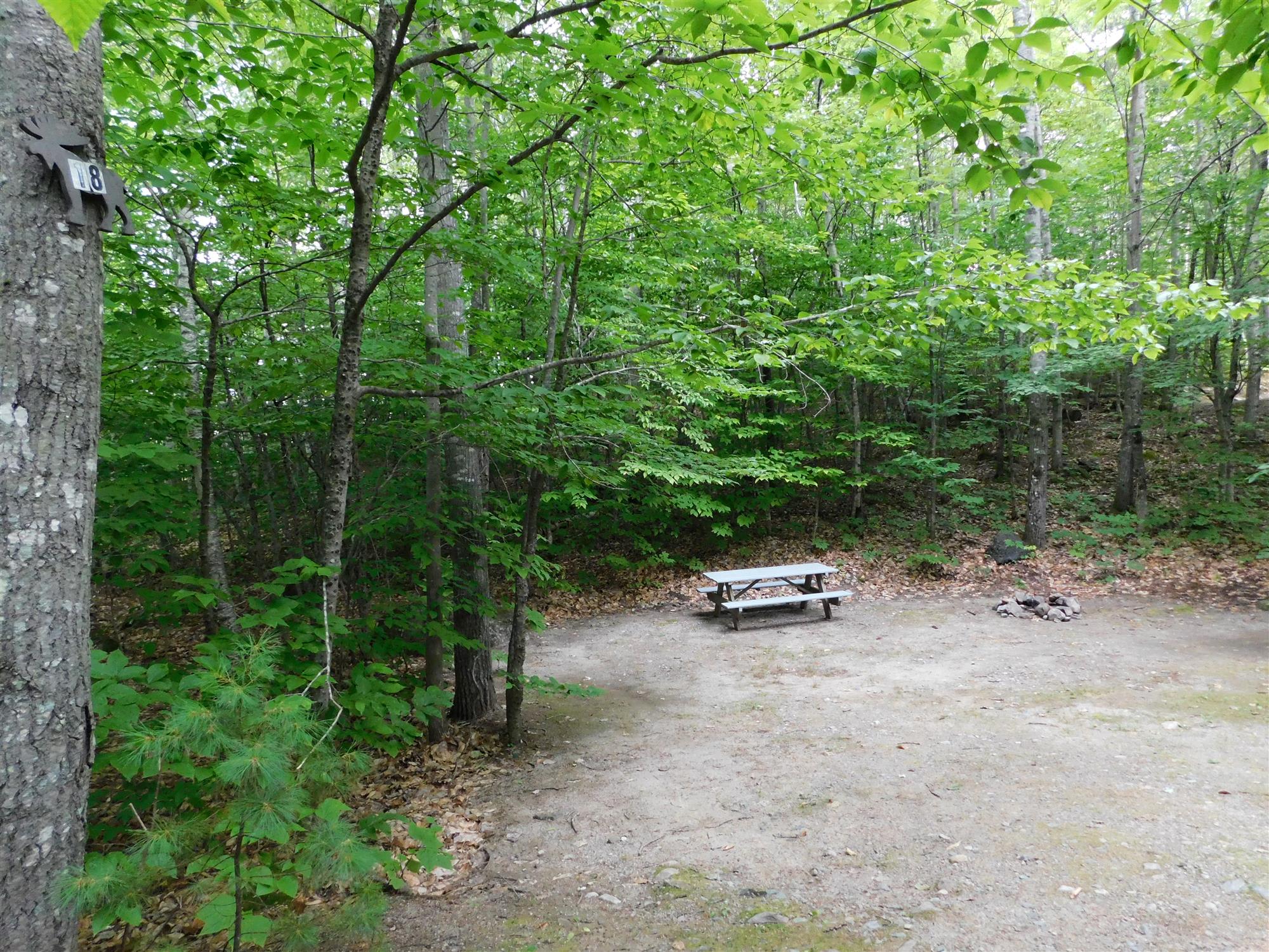 Big Moose Inn Cabins & Campground