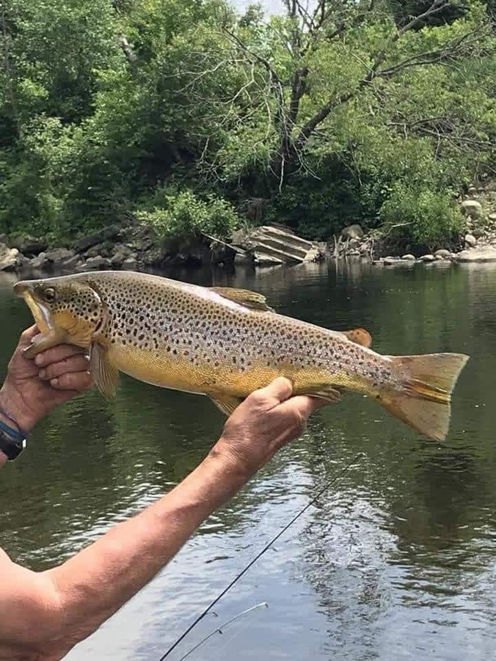 Champion Meadow Campground
