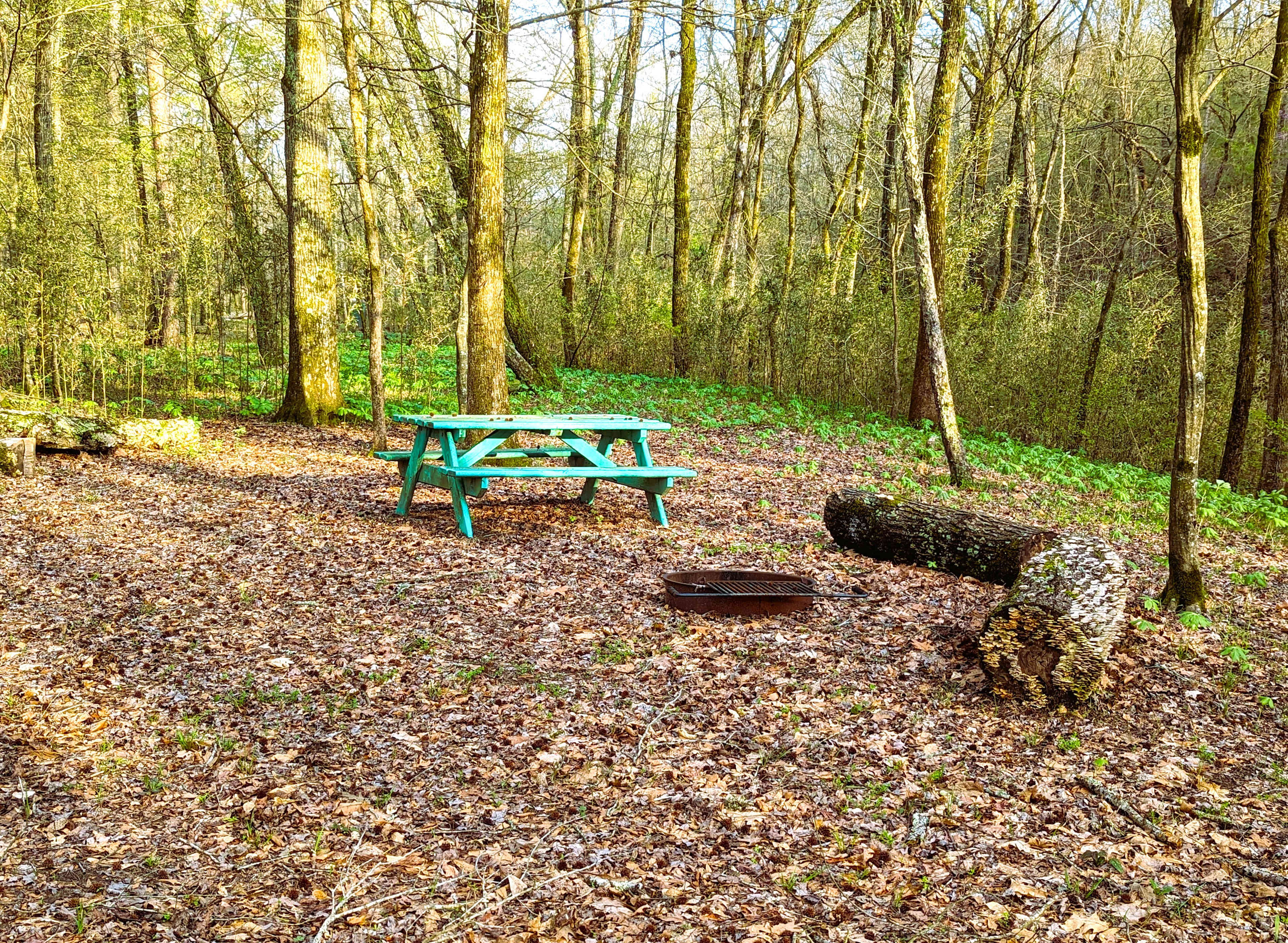 Pinnacle Springs Recreational Park