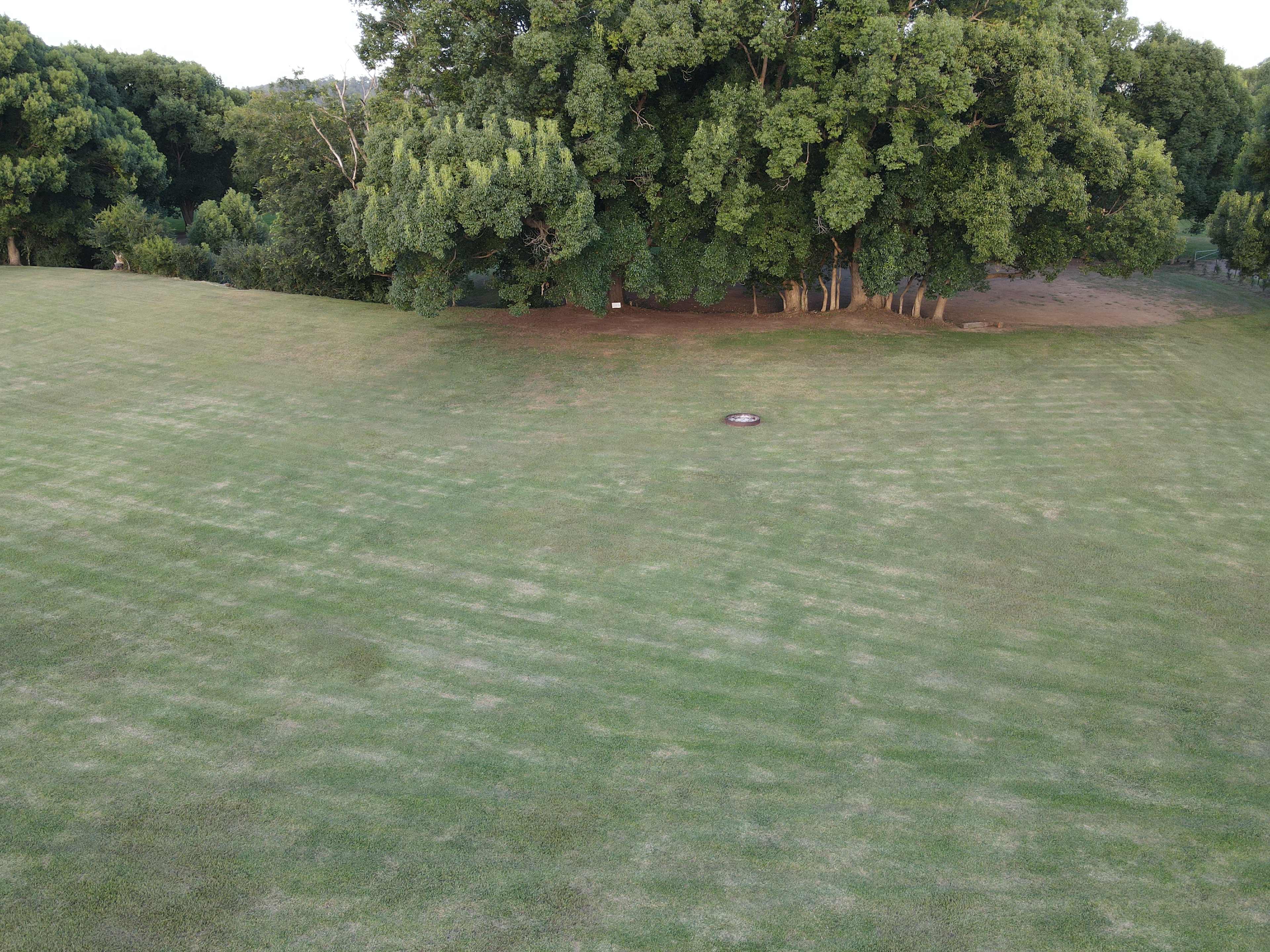 Site 4