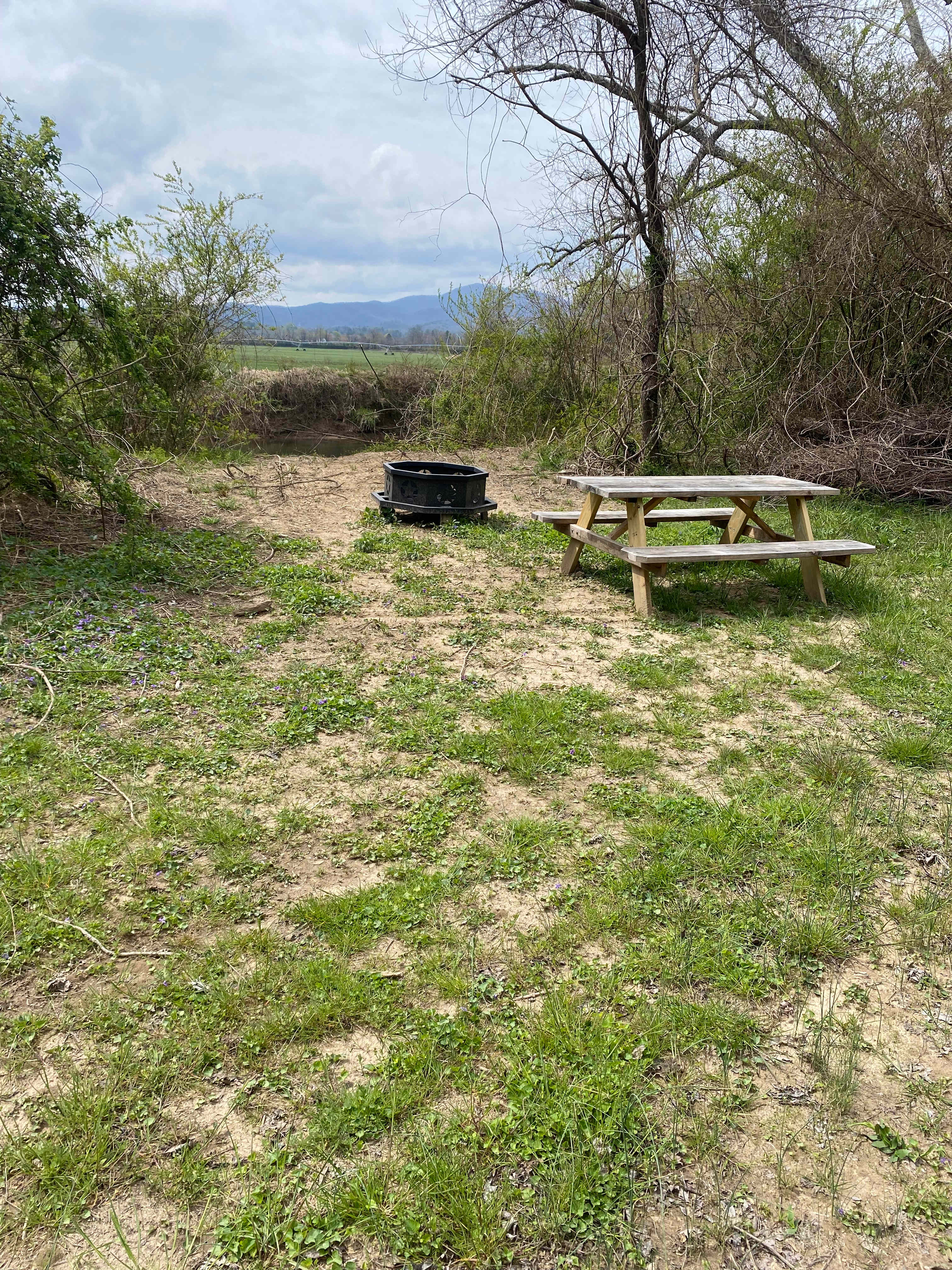 Picture of the site