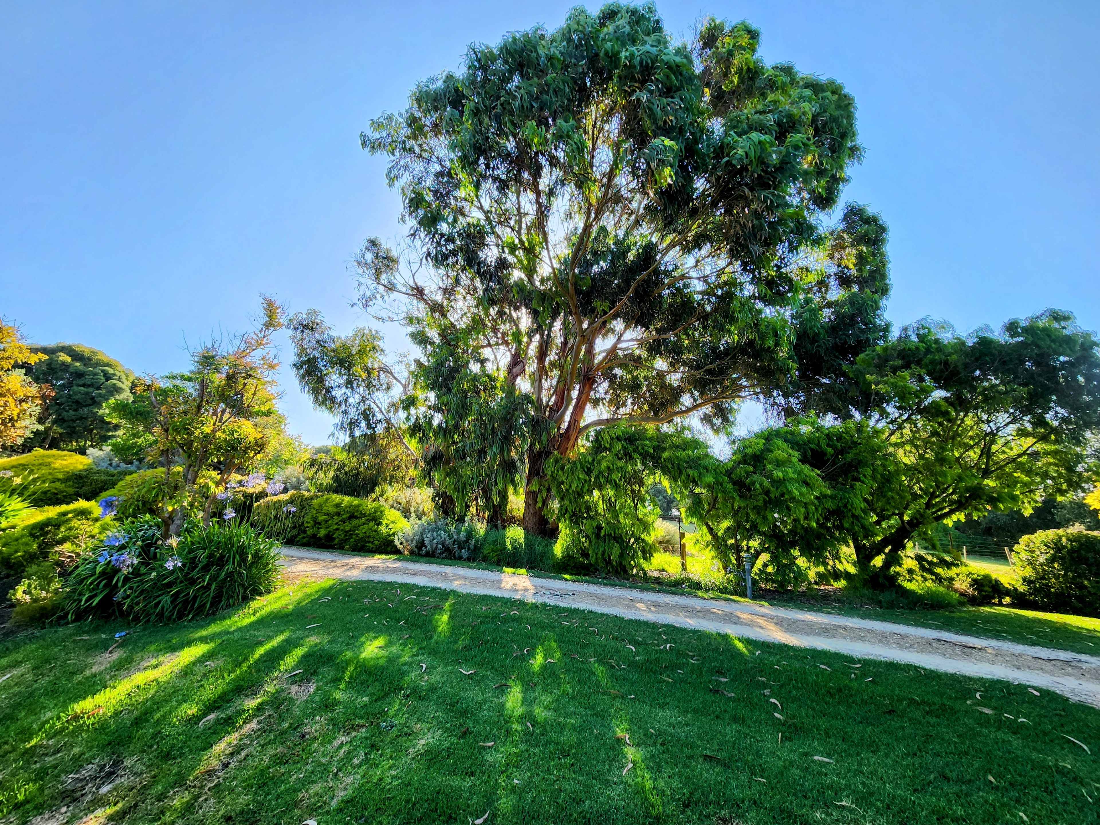 Outlook from the crushed sandstone  area