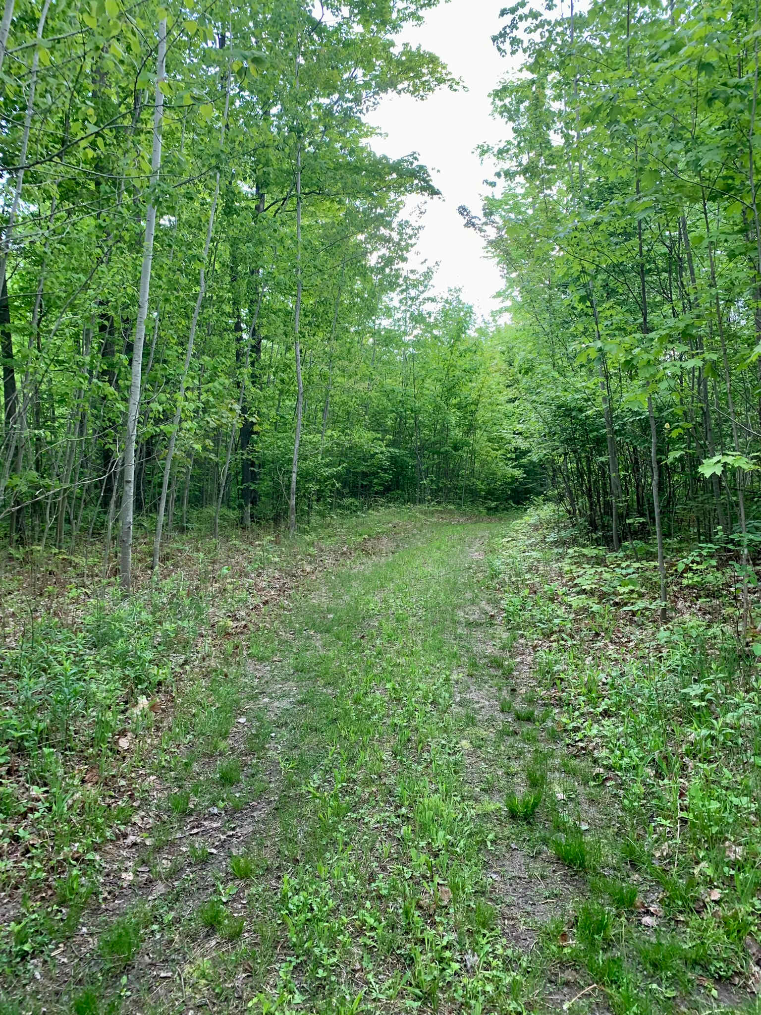 Norton's Nook