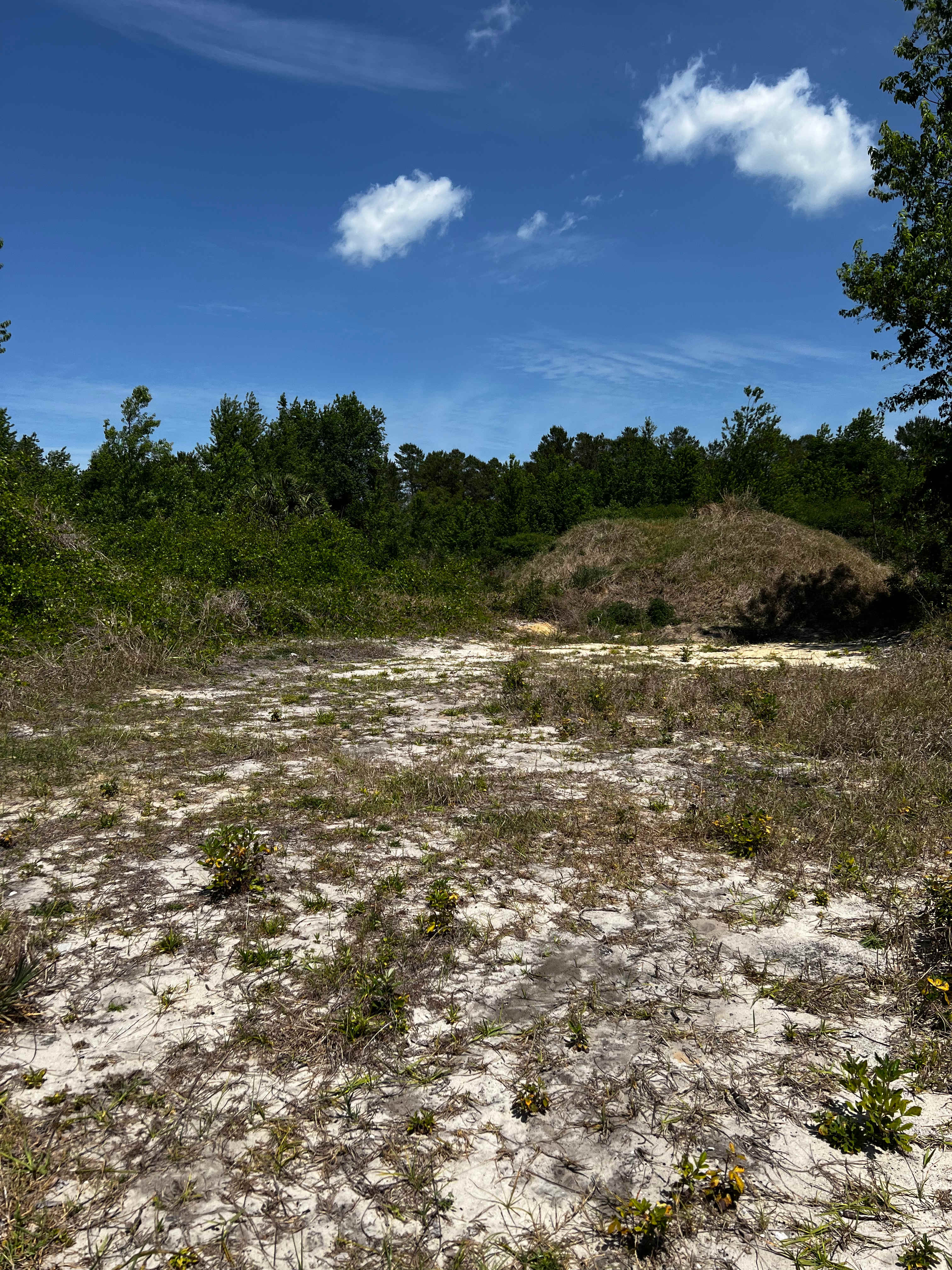 Rest Nest in Umatilla Florida