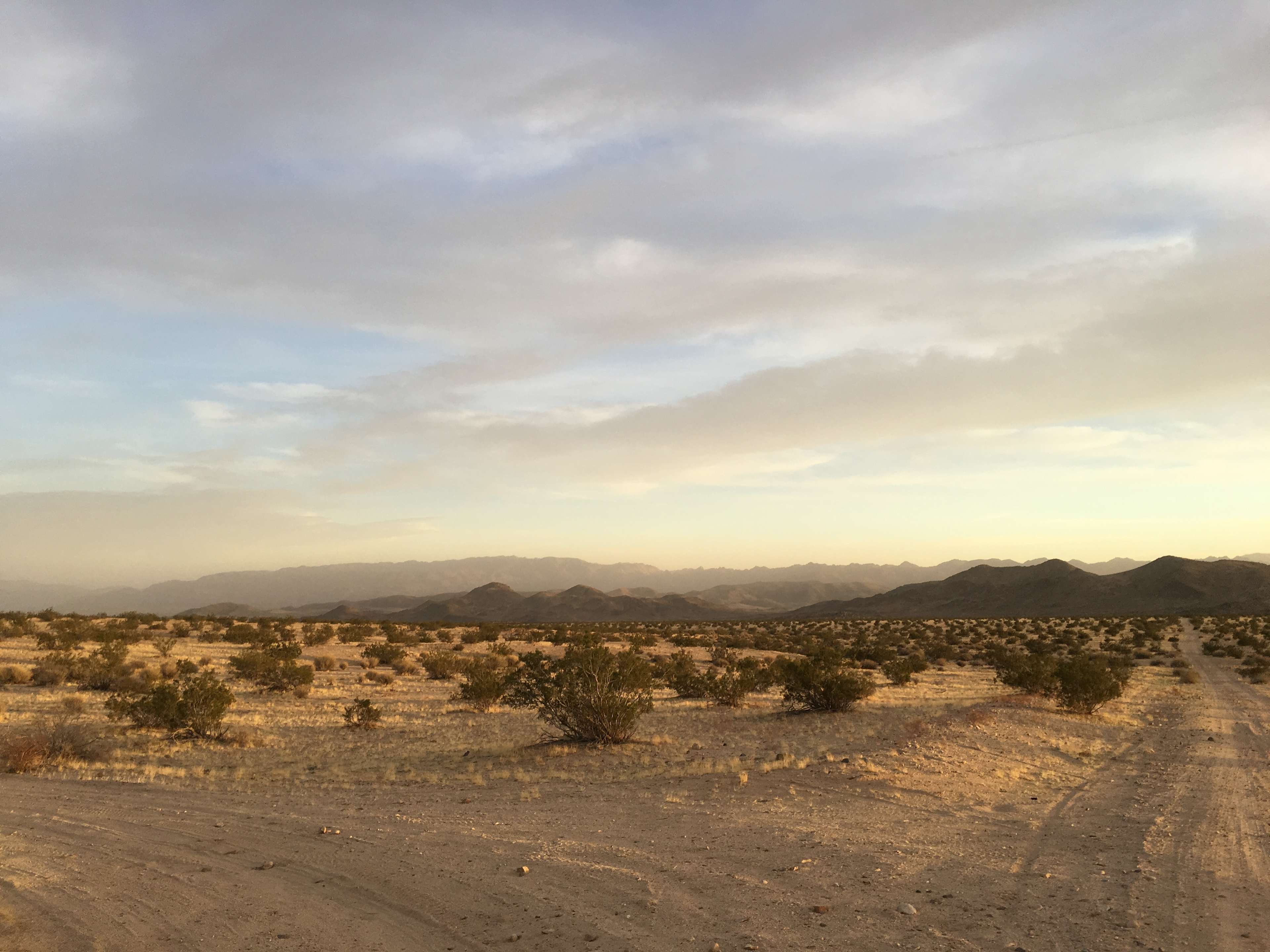 Moonlight Mesa