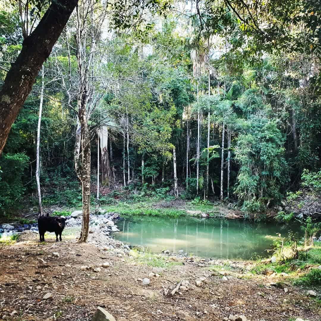 View directly in front of the site