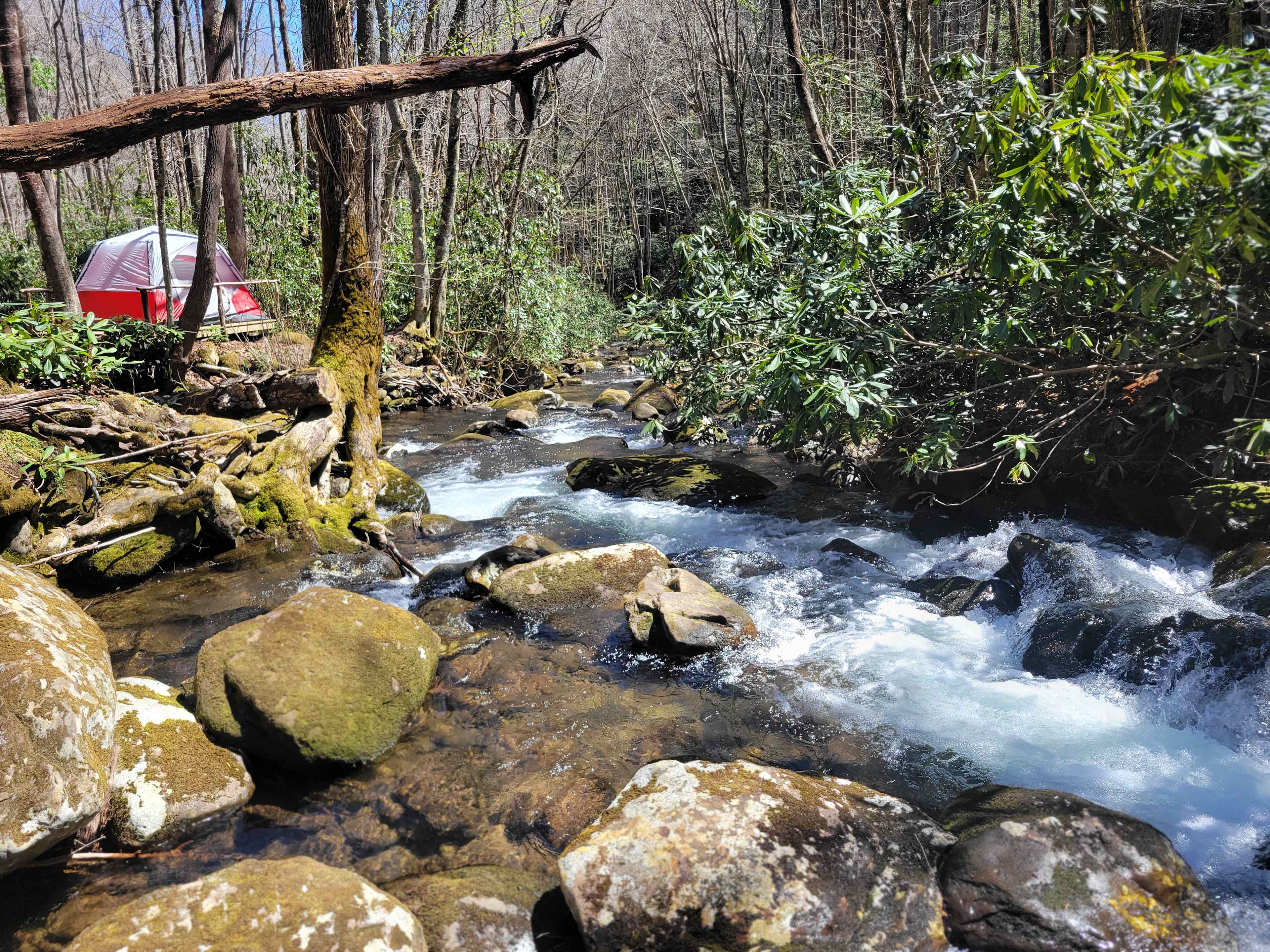 Mountain Creek Rest